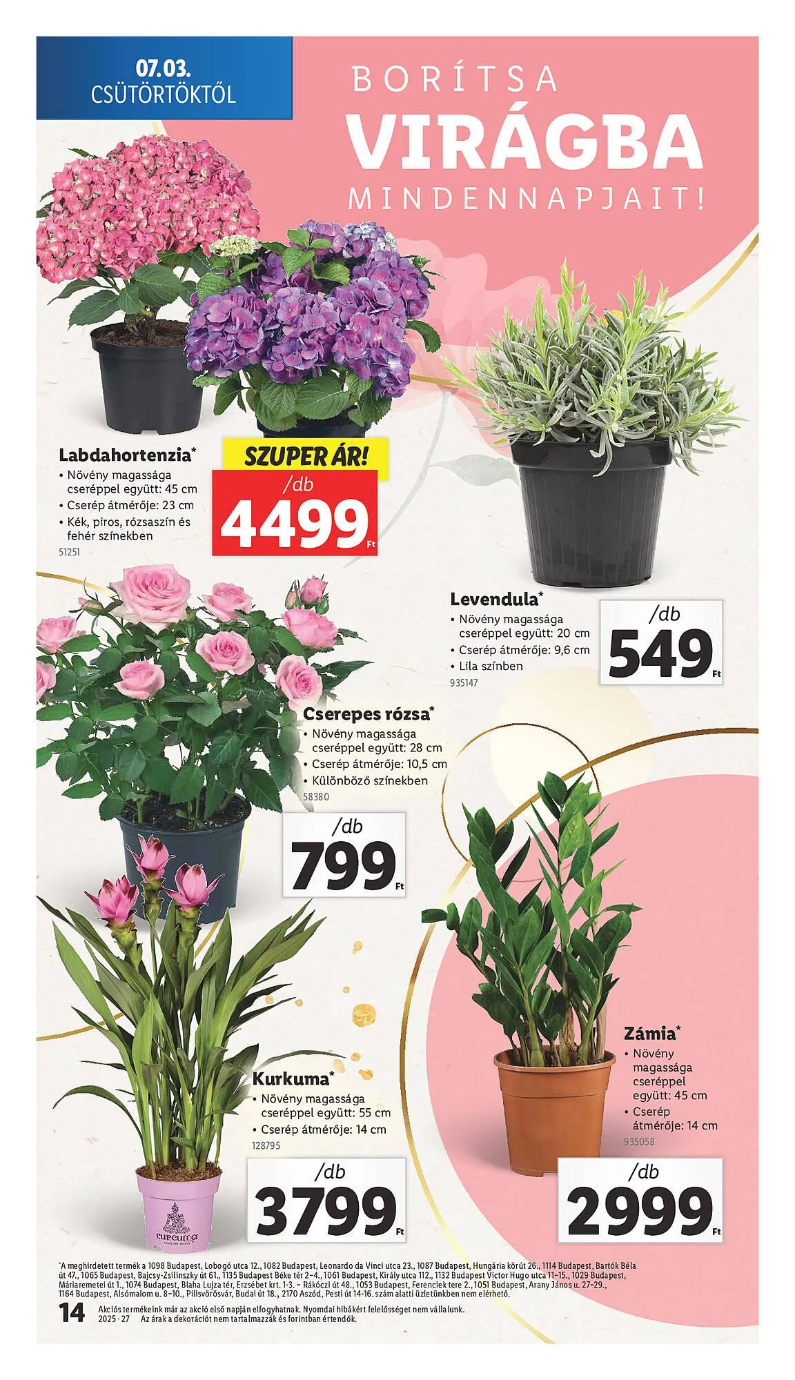 Katalógus Lidl akciós újság július 3.-tól július 9.-ig 2025. - Oldal 14