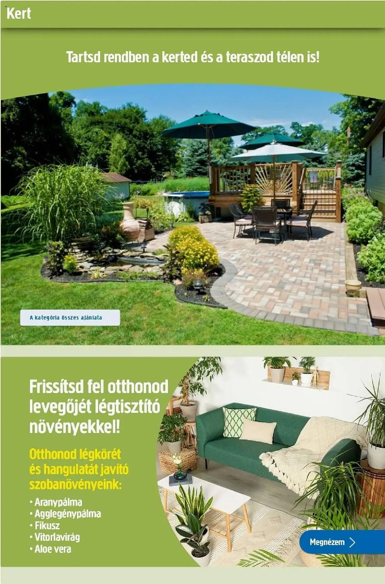 Katalógus Praktiker akciós újság január 2.-tól január 26.-ig 2026. - Oldal 26