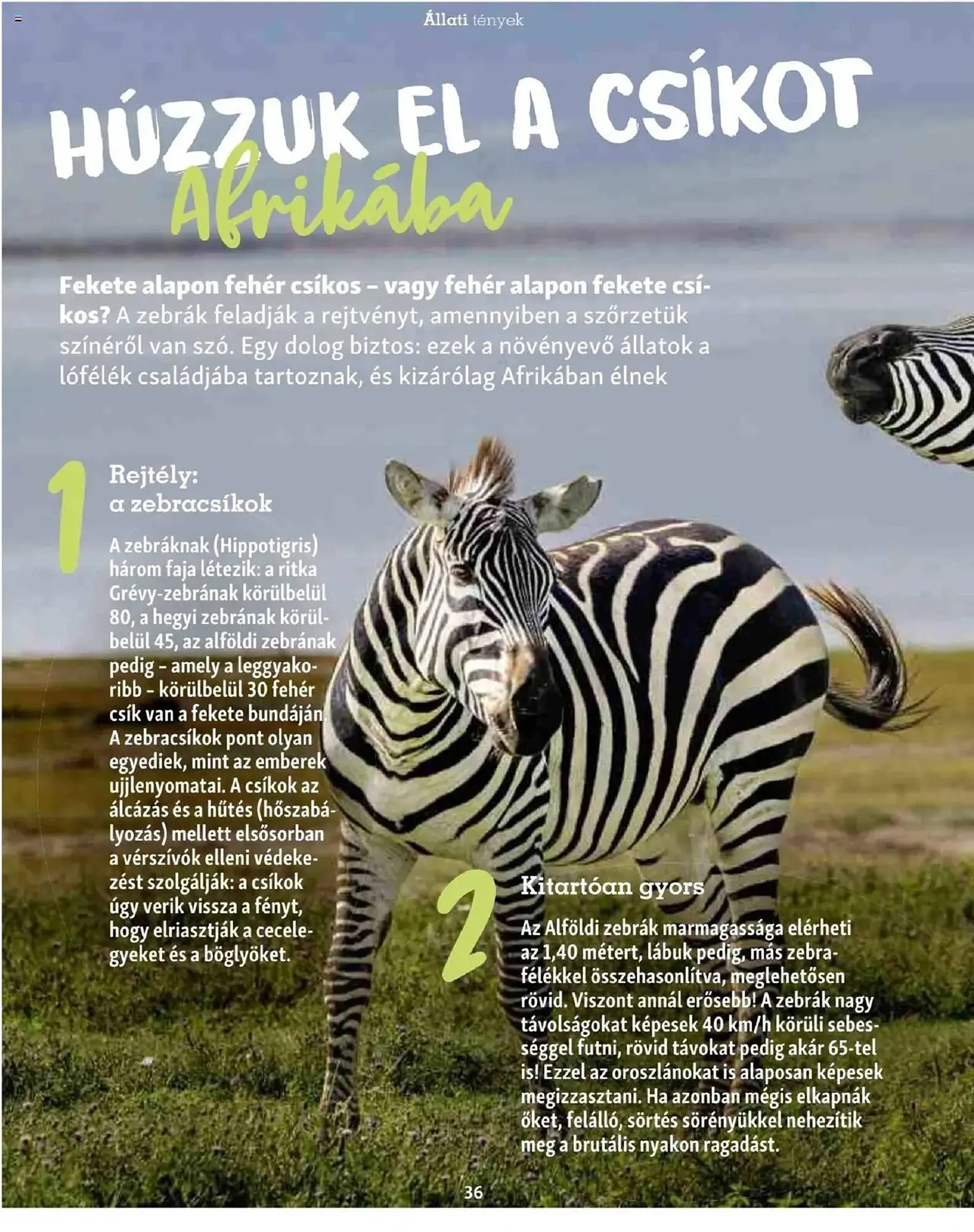 Katalógus Fressnapf akciós újság május 5.-tól május 13.-ig 2025. - Oldal 36