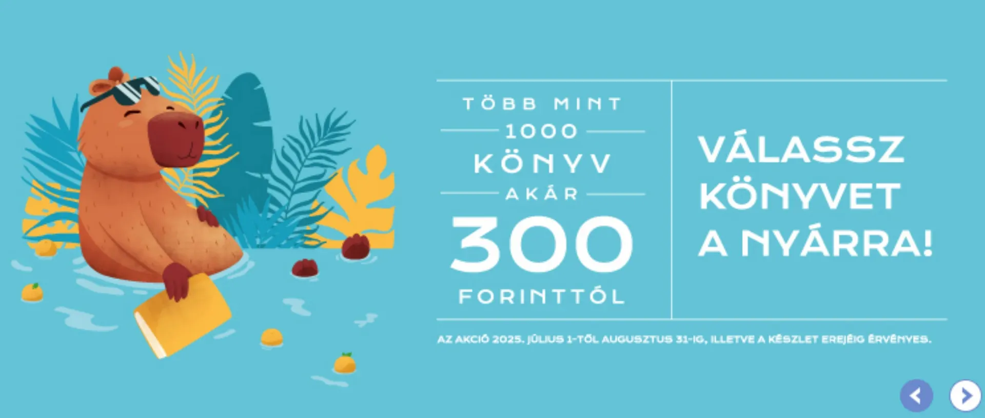 Katalógus Líra akciós újság július 1.-tól augusztus 31.-ig 2025. - Oldal 1