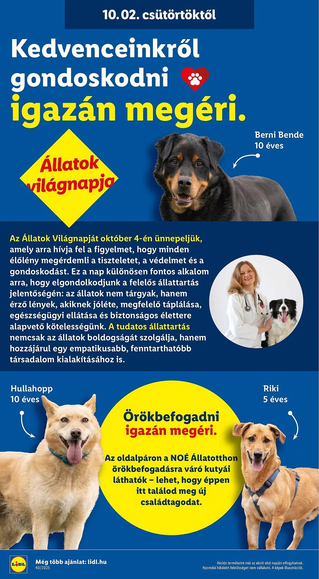 Katalógus Lidl akciós újság október 2.-tól október 8.-ig 2025. - Oldal 28