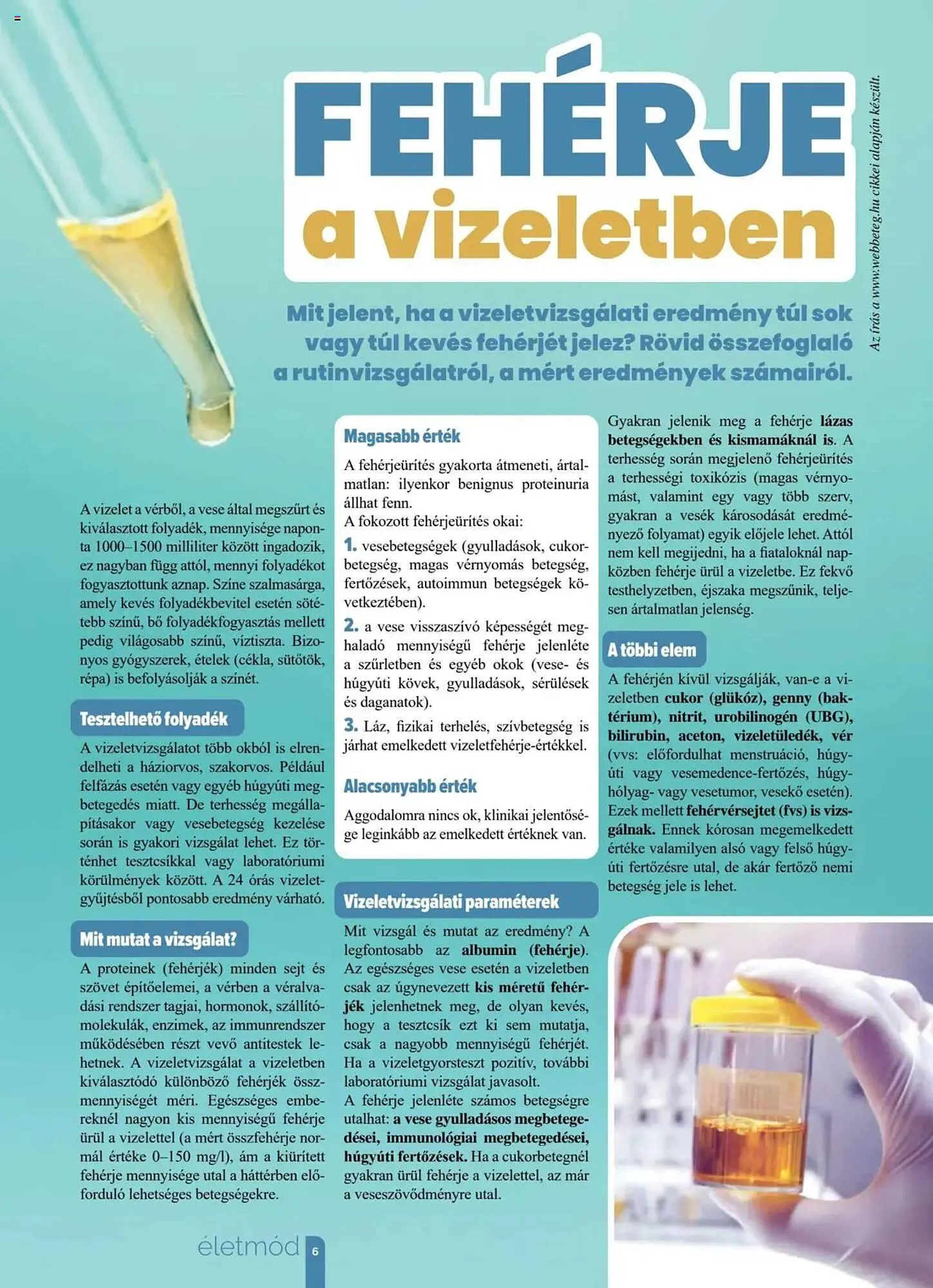 Katalógus Pingvin Patika akciós újság március 1.-tól március 31.-ig 2025. - Oldal 6