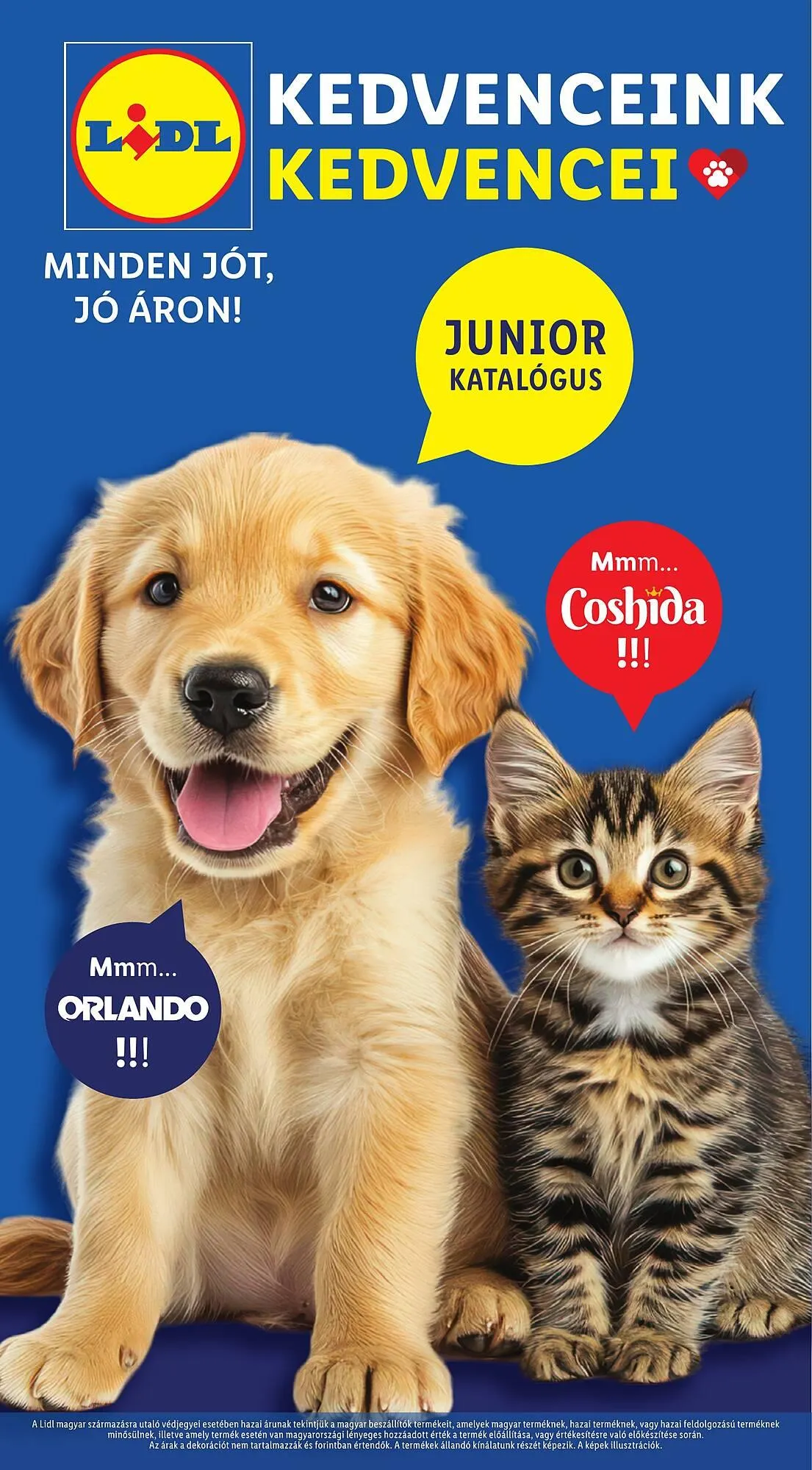 Katalógus Lidl akciós újság június 19.-tól július 9.-ig 2025. - Oldal 1