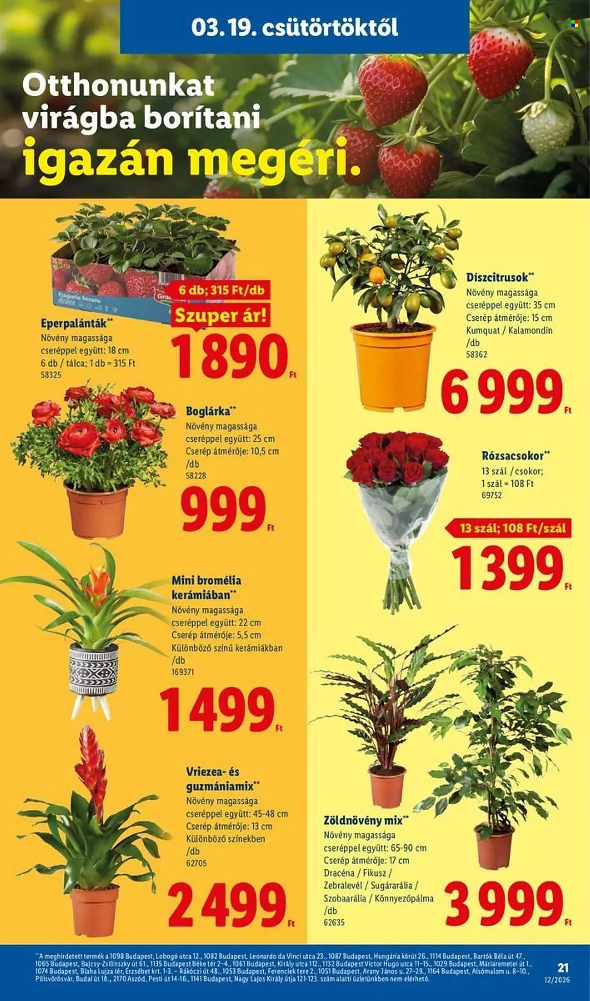 Katalógus Lidl akciós újság március 19.-tól március 25.-ig 2026. - Oldal 21