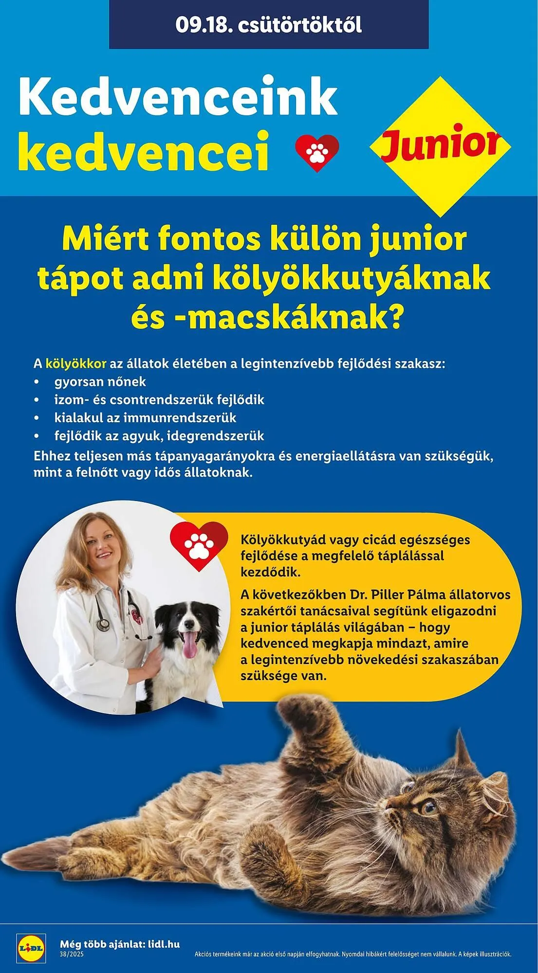 Katalógus Lidl akciós újság szeptember 11.-tól december 31.-ig 2025. - Oldal 30