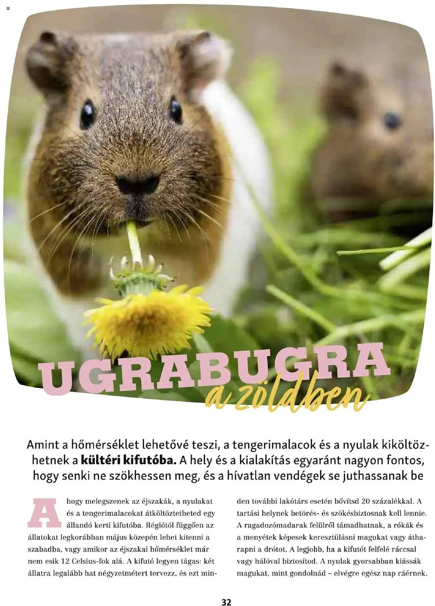 Katalógus Fressnapf akciós újság május 5.-tól május 13.-ig 2025. - Oldal 32