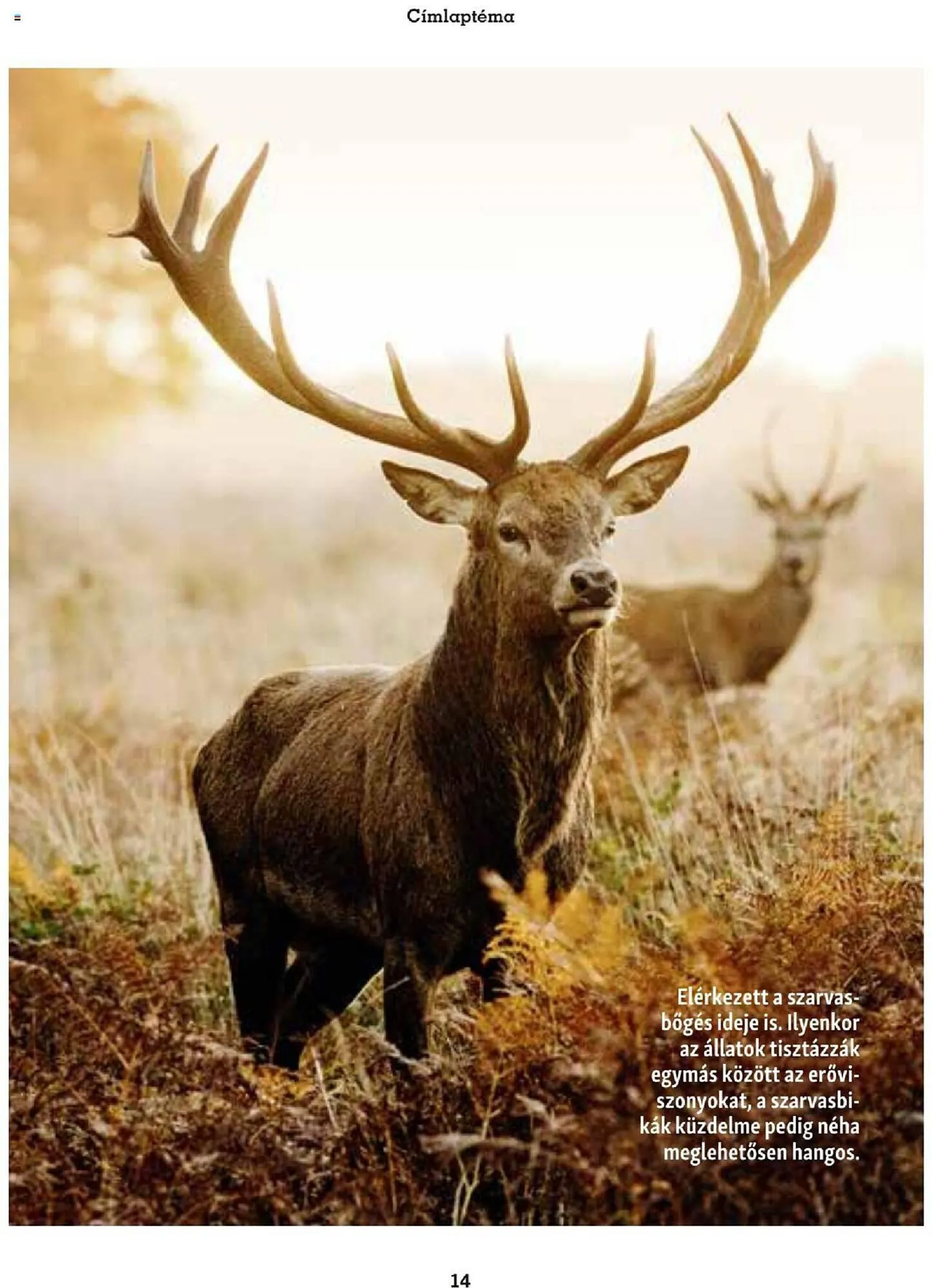 Katalógus Fressnapf akciós újság szeptember 25.-tól november 30.-ig 2023. - Oldal 14