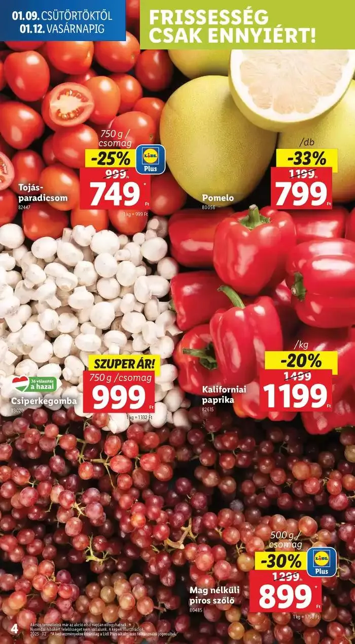 Katalógus Akciós újság – 02. hét január 9.-tól január 15.-ig 2025. - Oldal 4