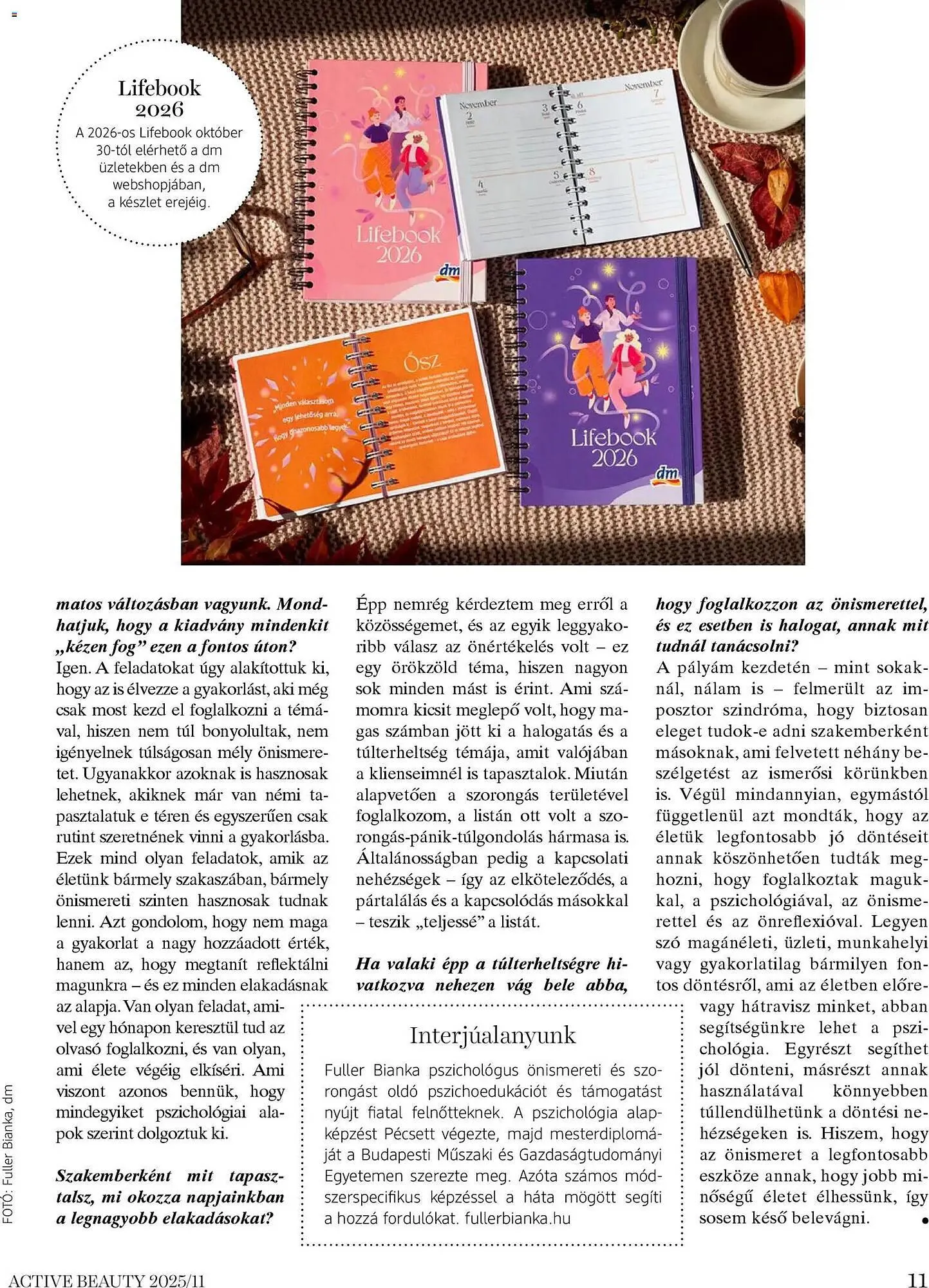 Katalógus DM akciós újság november 13.-tól november 30.-ig 2025. - Oldal 11