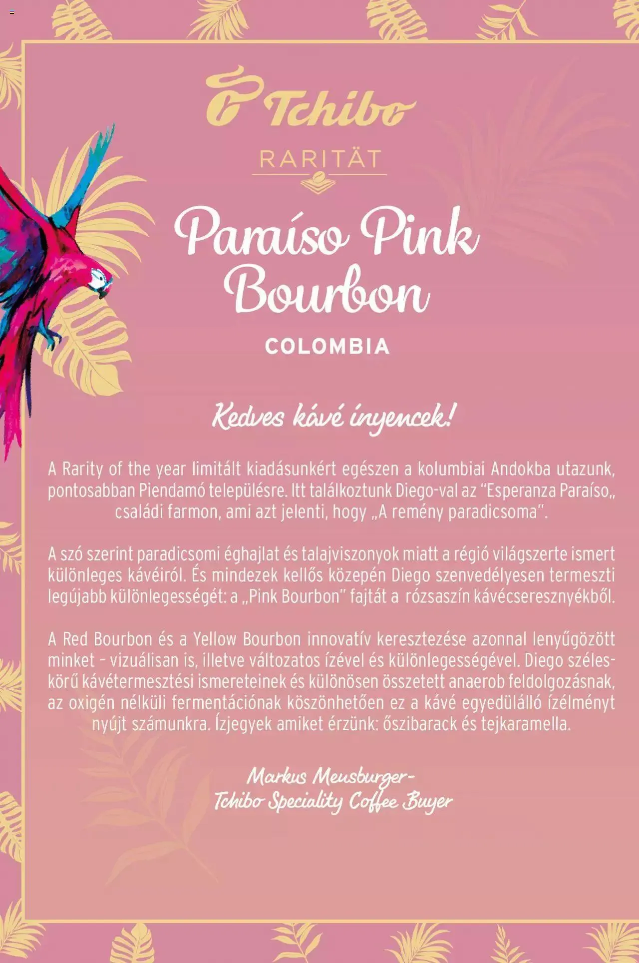 Katalógus Tchibo - Akciós újság január 2.-tól december 31.-ig 2023. - Oldal 38