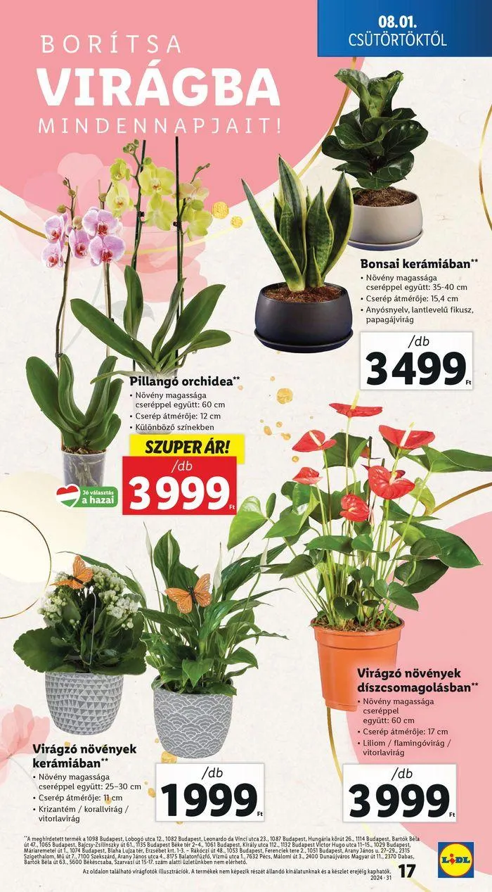 Katalógus Akciós újság – 31. hét augusztus 6.-tól augusztus 7.-ig 2024. - Oldal 17