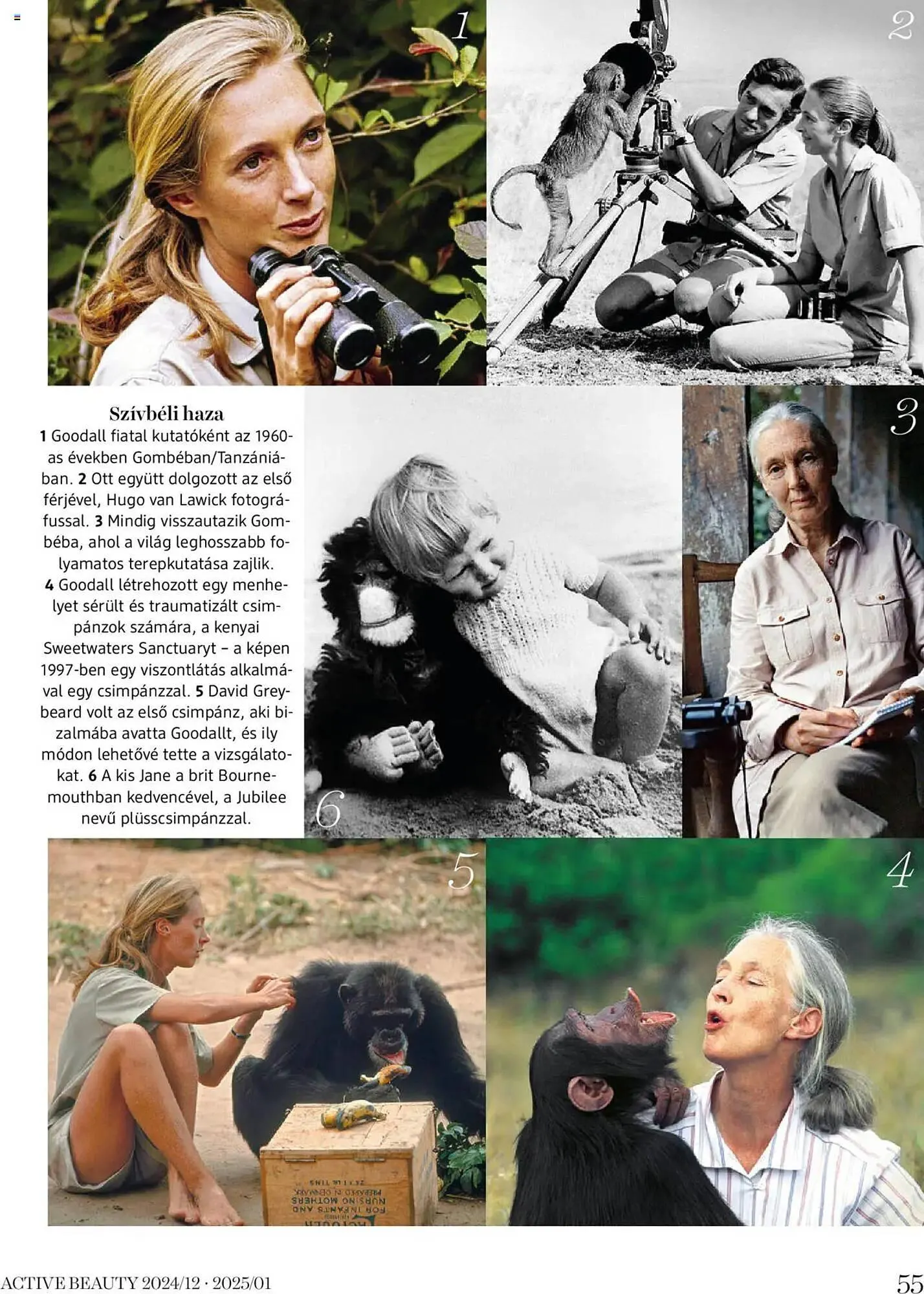 Katalógus DM akciós újság december 24.-tól január 25.-ig 2025. - Oldal 55