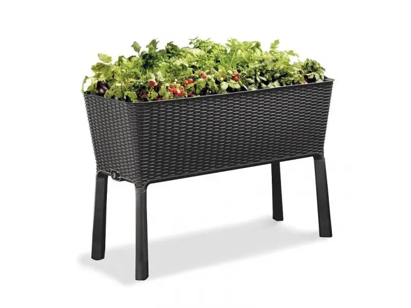 KETER EASY GROW - magaságyás (műrattan, antracit)