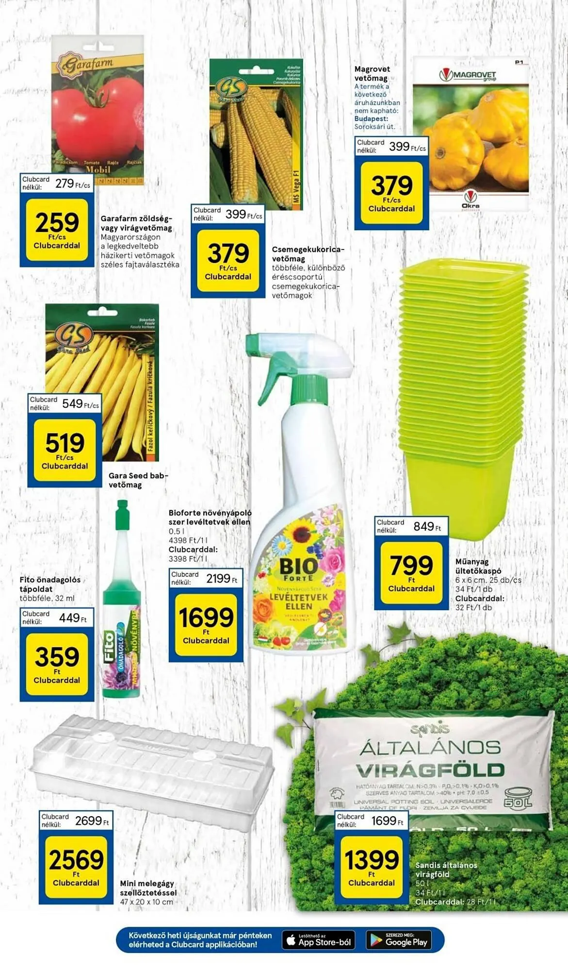 Katalógus Tesco akciós újság január 9.-tól január 15.-ig 2025. - Oldal 31