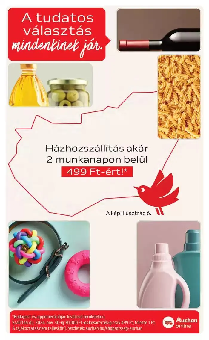Katalógus Catalog Auchan október 28.-tól november 6.-ig 2024. - Oldal 49