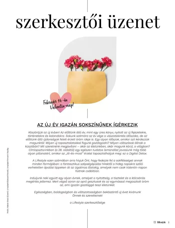 Katalógus Fedezze fel a vonzó ajánlatokat február 3.-tól február 17.-ig 2025. - Oldal 3