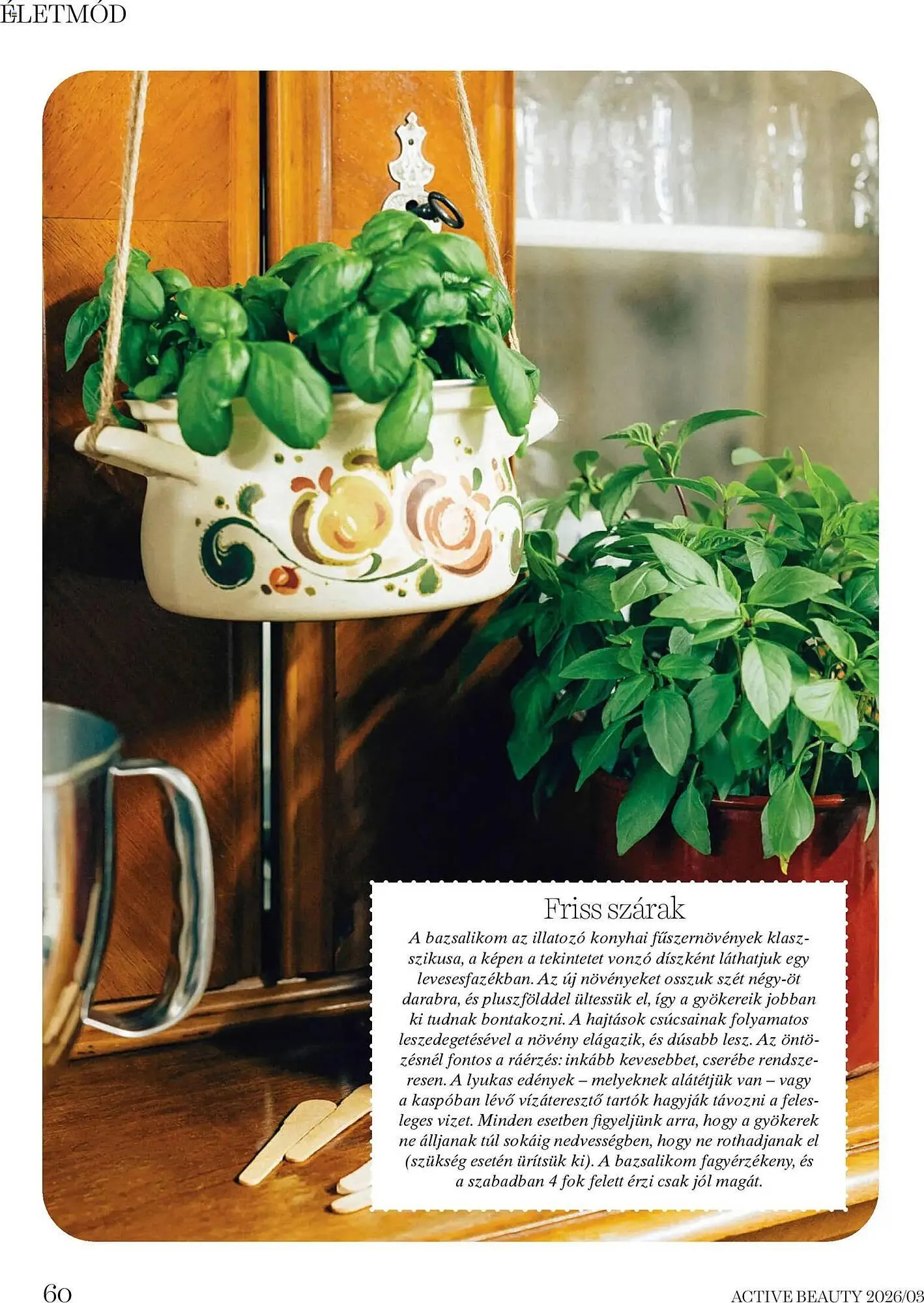 Katalógus DM akciós újság március 26.-tól április 30.-ig 2026. - Oldal 60