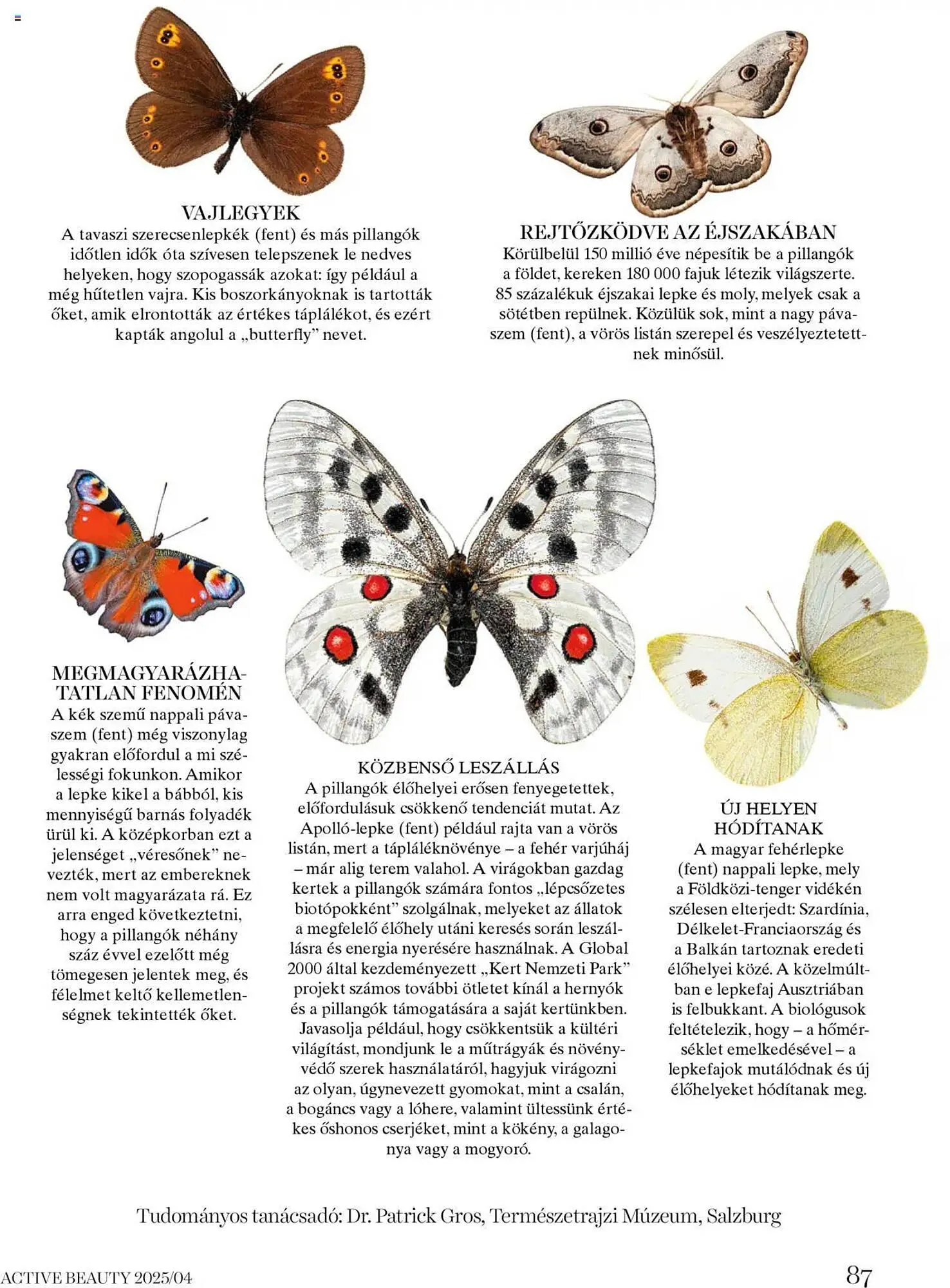 Katalógus DM akciós újság április 16.-tól április 24.-ig 2025. - Oldal 87