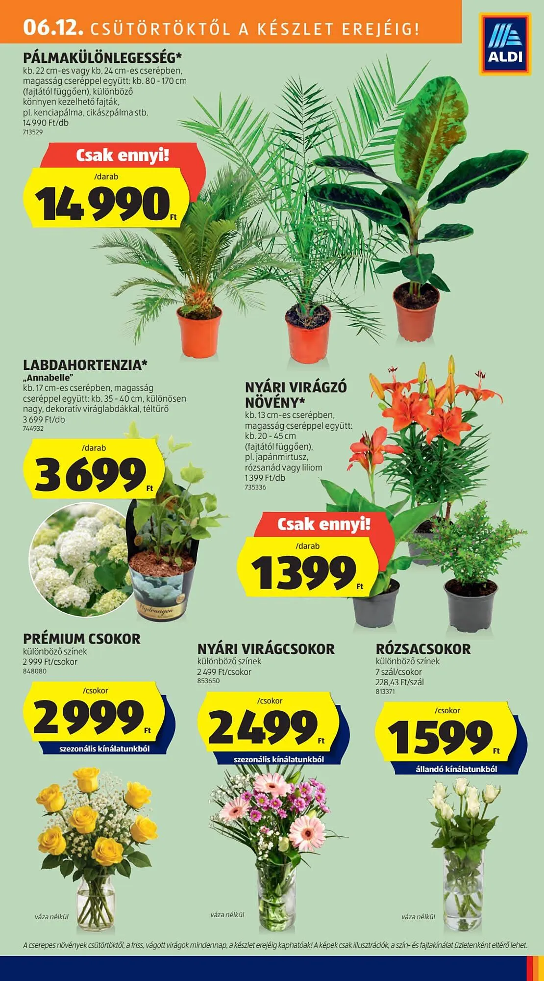 Katalógus ALDI akciós újság június 12.-tól június 18.-ig 2025. - Oldal 29