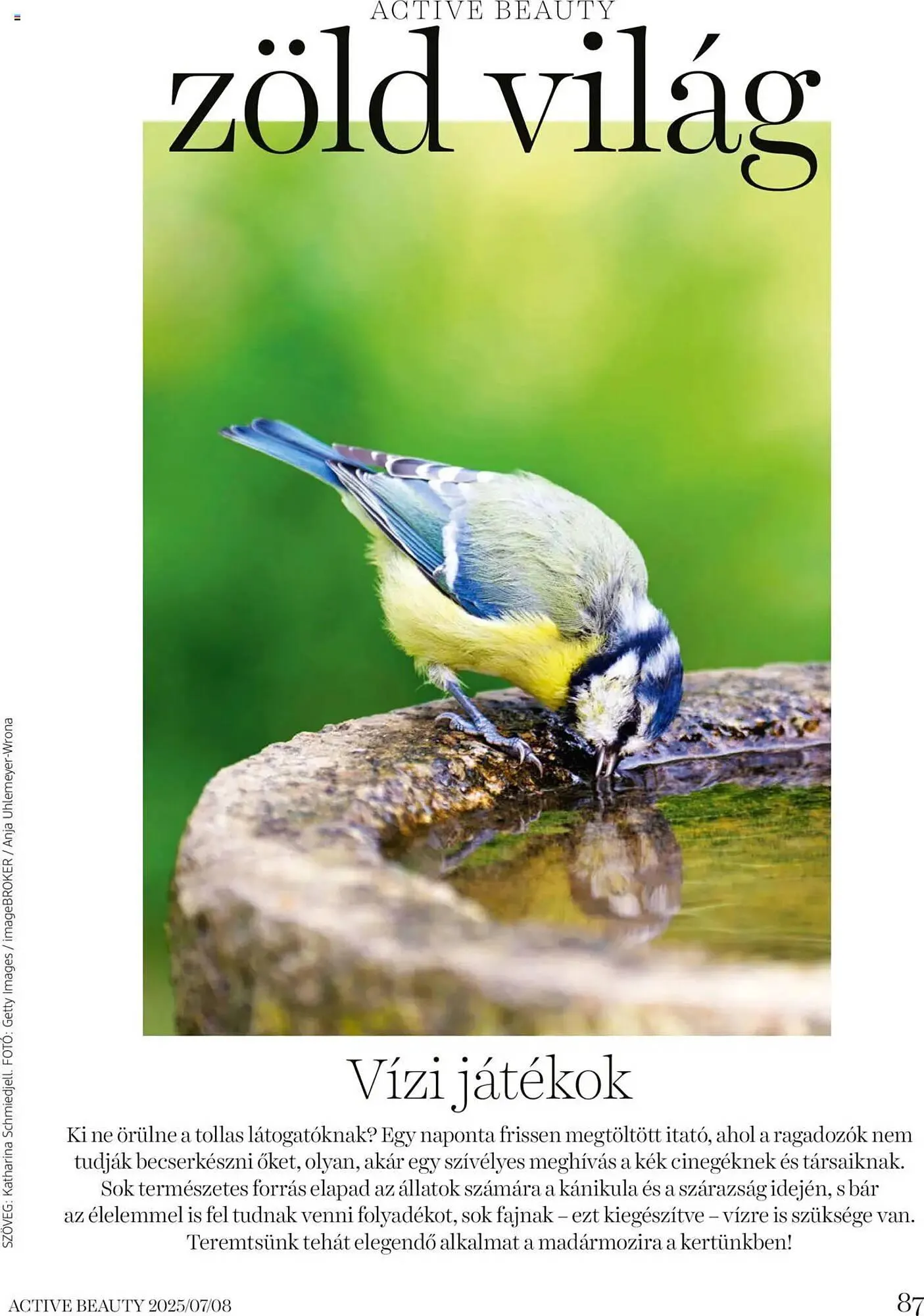 Katalógus DM akciós újság július 16.-tól augusztus 31.-ig 2025. - Oldal 87