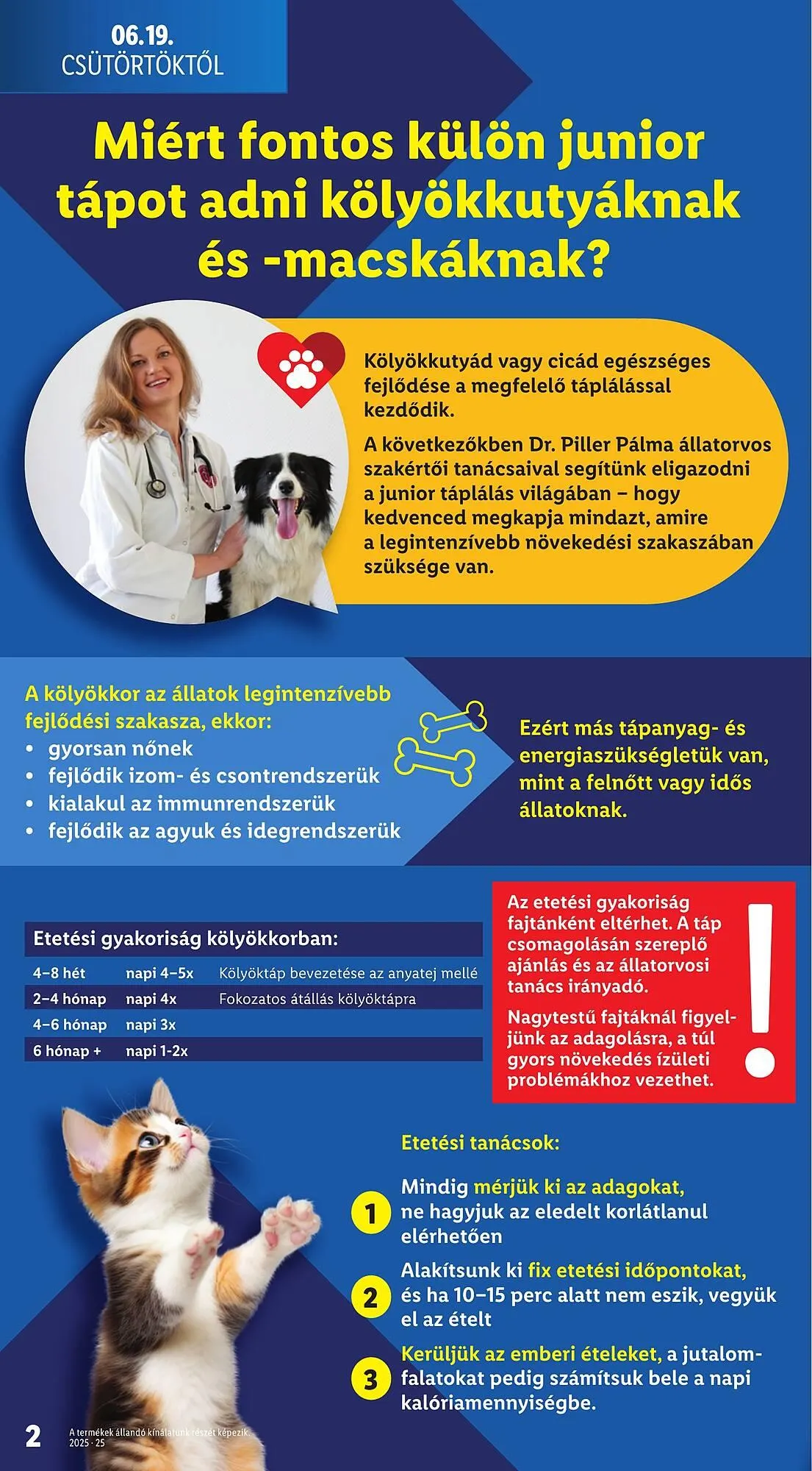 Katalógus Lidl akciós újság június 19.-tól július 9.-ig 2025. - Oldal 2