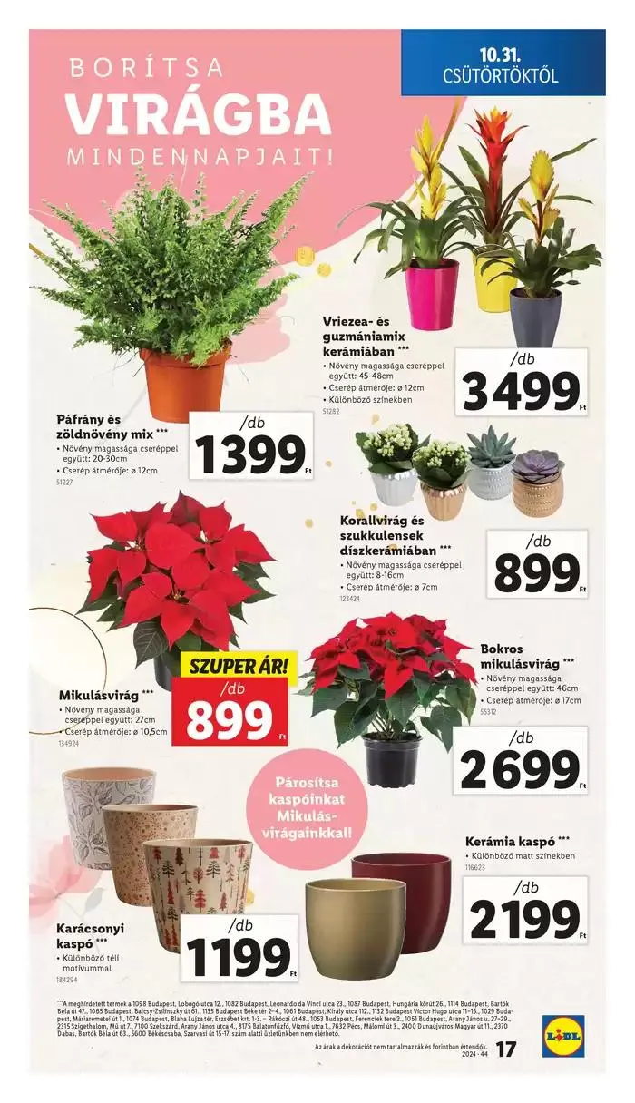 Katalógus Akciós újság – 44. hét október 31.-tól november 6.-ig 2024. - Oldal 17