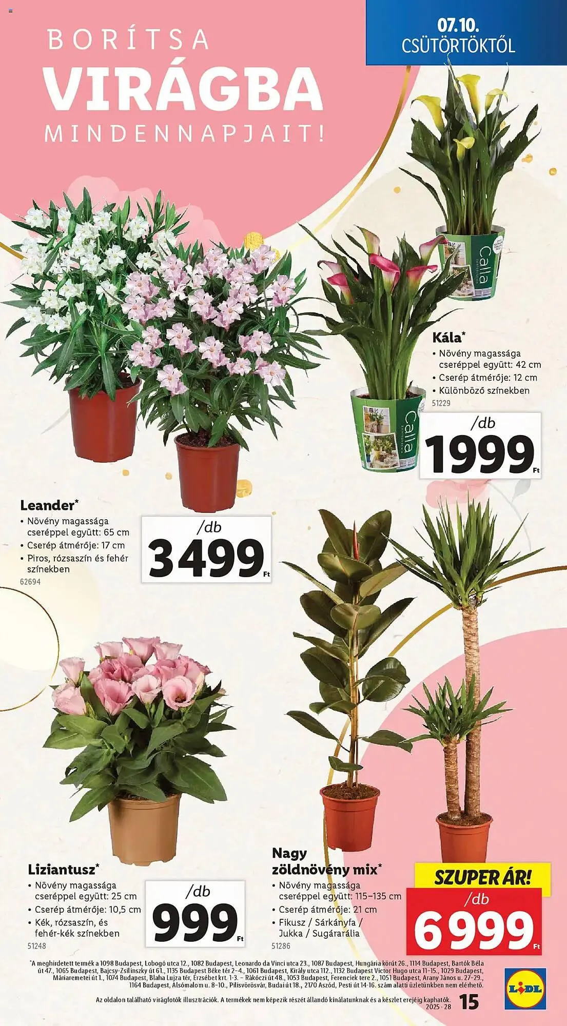 Katalógus Lidl akciós újság július 10.-tól július 16.-ig 2025. - Oldal 15