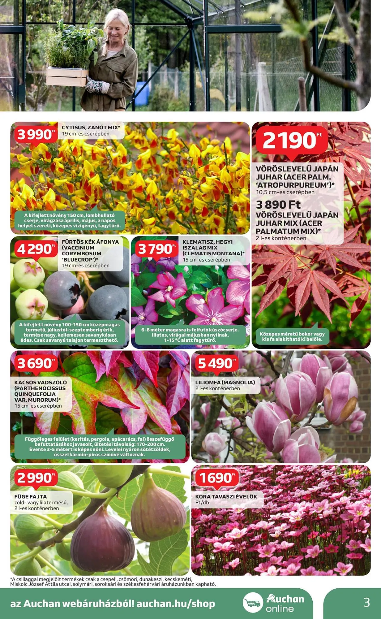 Katalógus Auchan akciós újság március 6.-tól március 19.-ig 2025. - Oldal 3