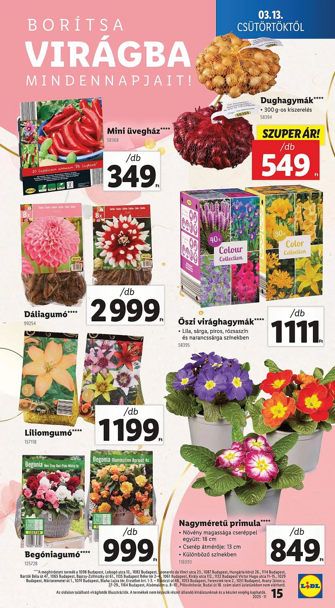 Katalógus Lidl akciós újság március 13.-tól március 19.-ig 2025. - Oldal 15