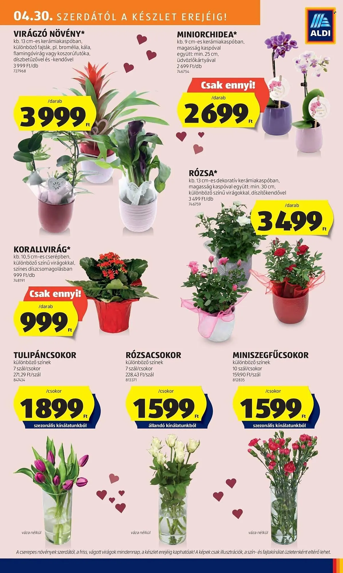 Katalógus ALDI akciós újság április 30.-tól május 14.-ig 2025. - Oldal 9