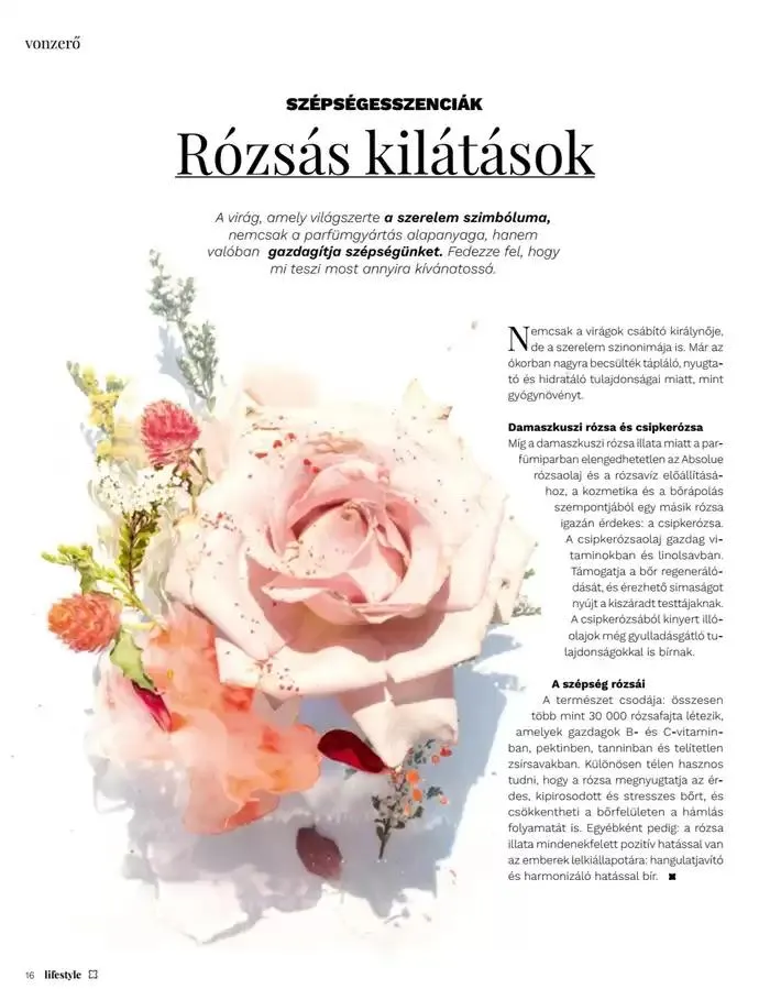 Katalógus Fedezze fel a vonzó ajánlatokat február 3.-tól február 17.-ig 2025. - Oldal 16