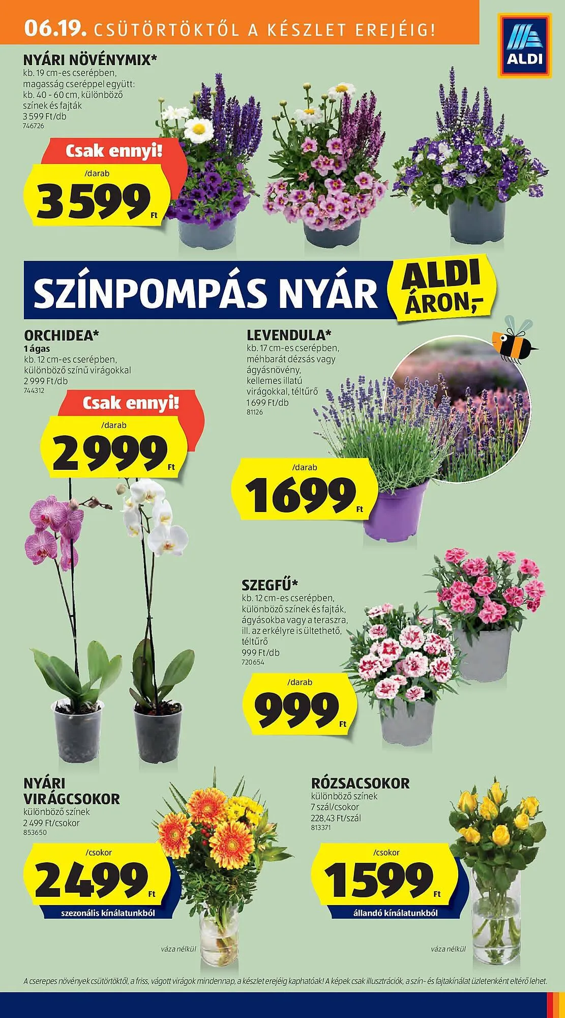 Katalógus ALDI akciós újság június 19.-tól június 25.-ig 2025. - Oldal 27