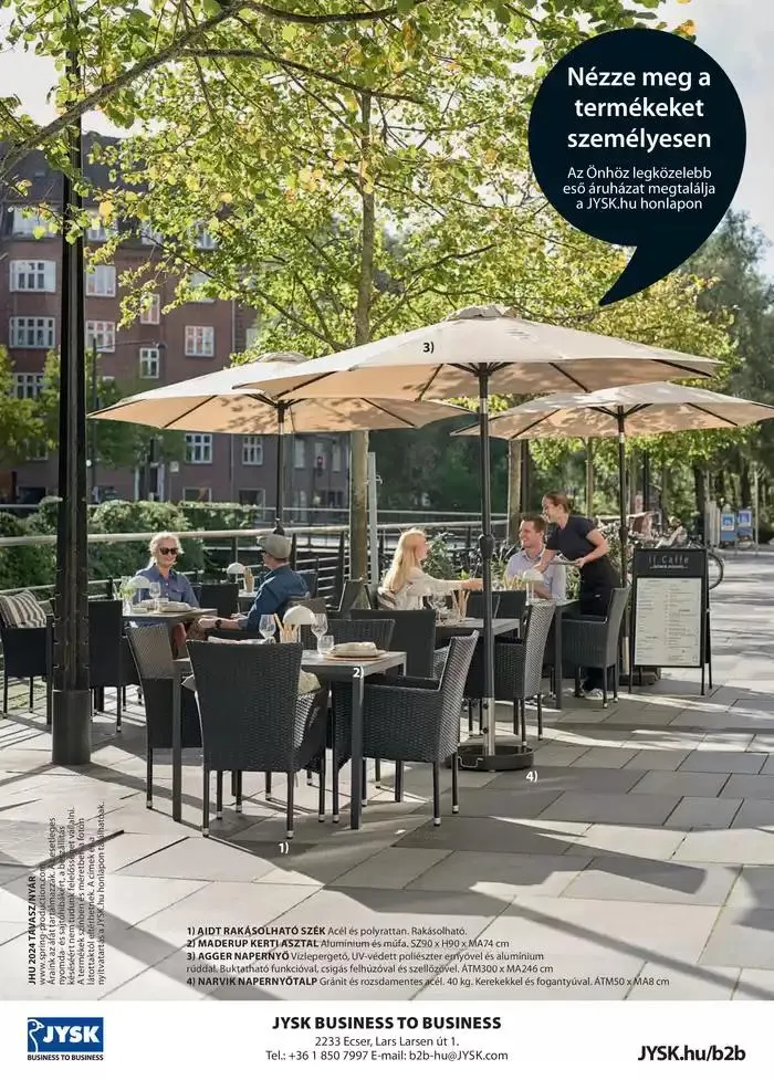 Katalógus BUSINESS TO BUSINESS KATALÓGUS november 27.-tól december 11.-ig 2024. - Oldal 33