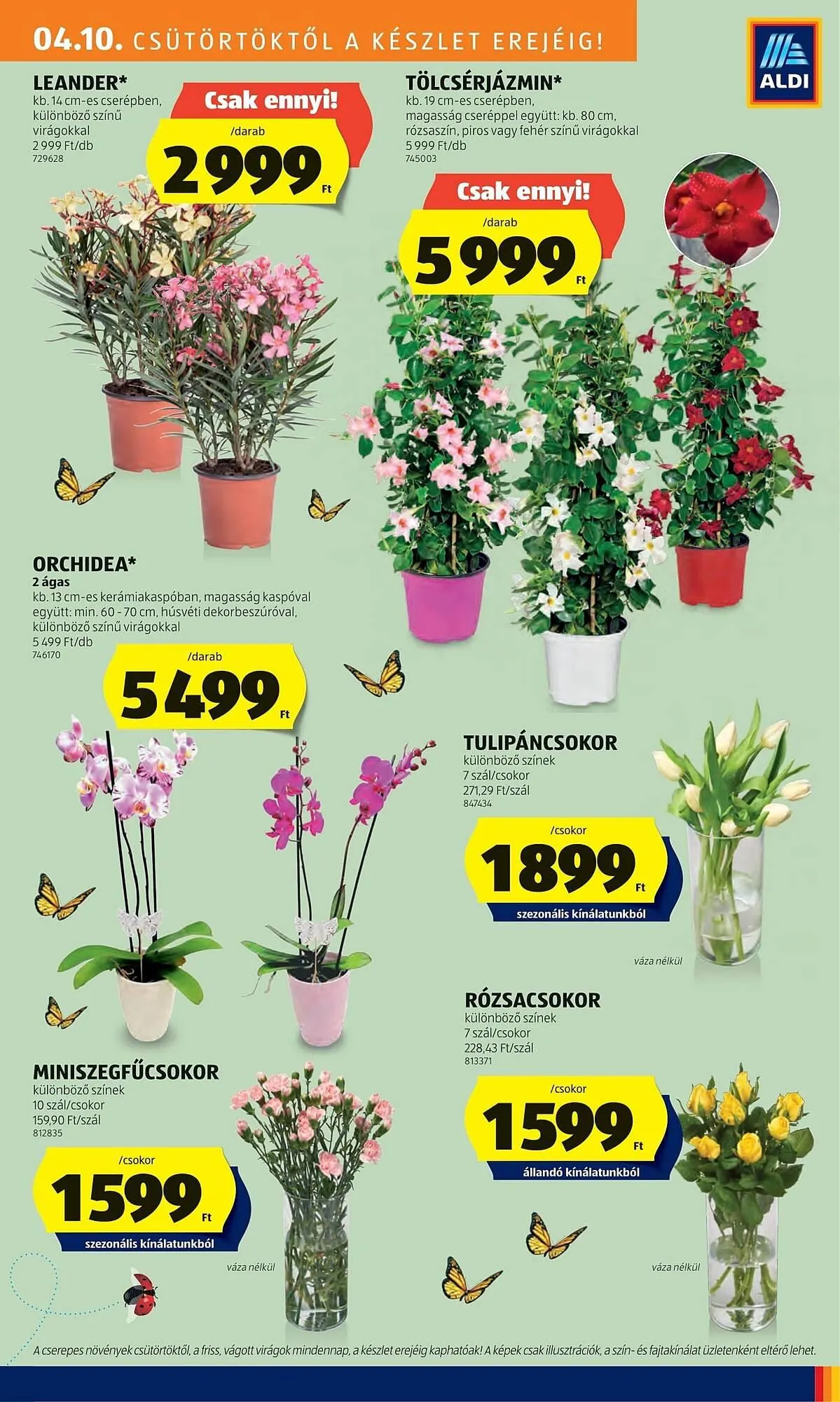 Katalógus ALDI akciós újság április 10.-tól április 16.-ig 2025. - Oldal 7