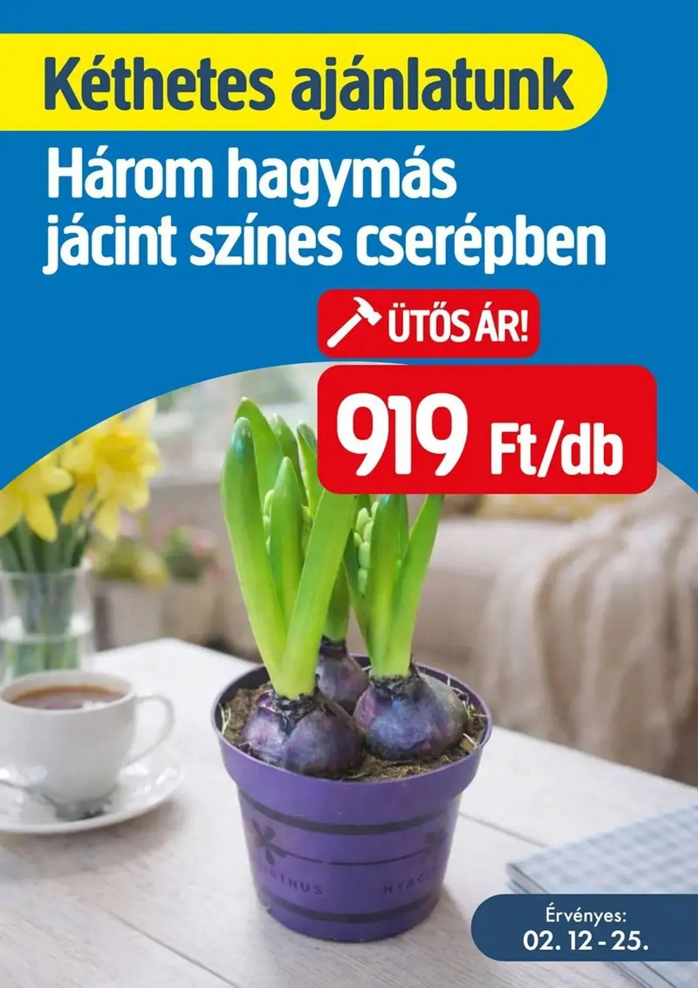 Katalógus Praktiker akciós újság február 19.-tól február 25.-ig 2026. - Oldal 2