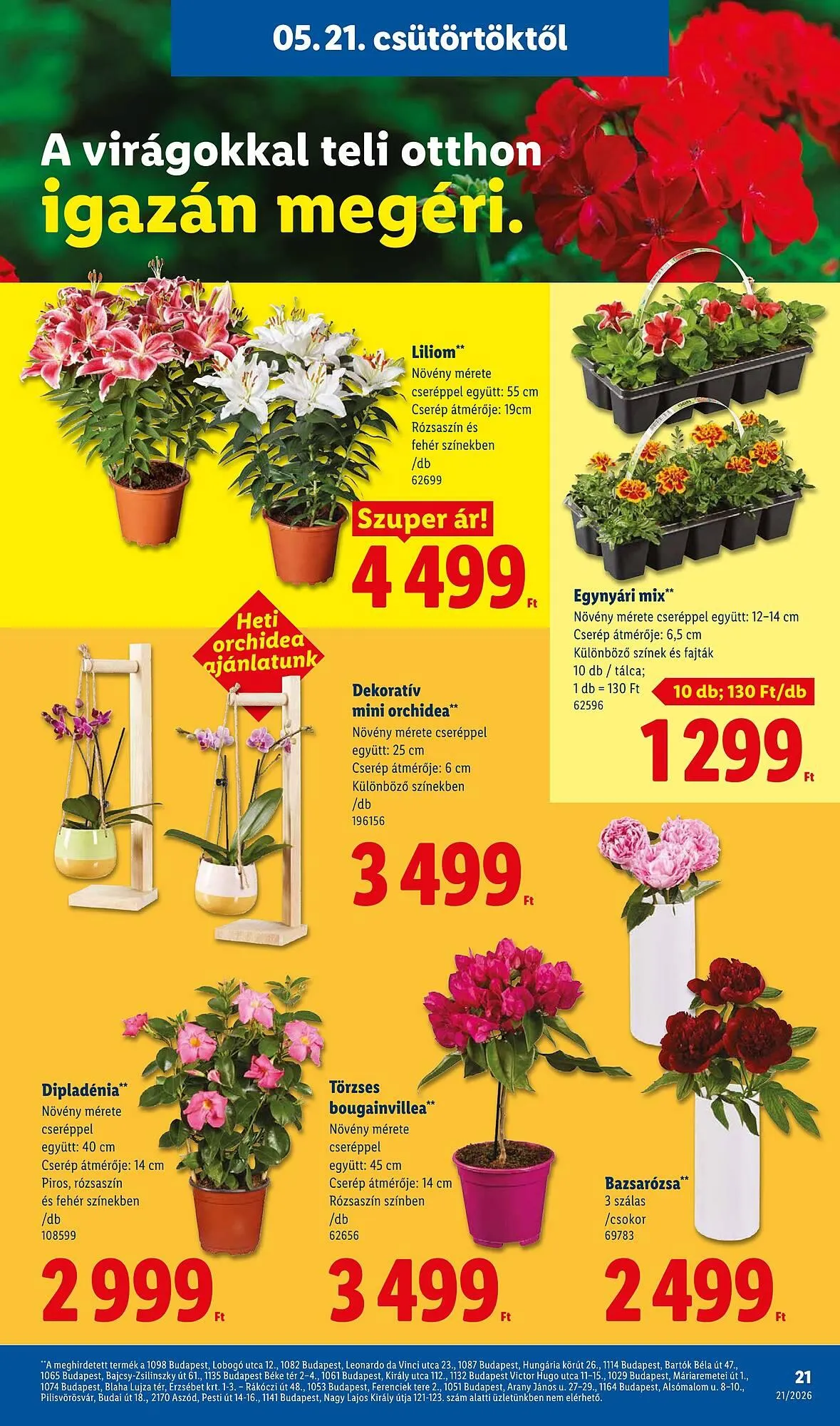 Katalógus Lidl akciós újság május 21.-tól május 27.-ig 2026. - Oldal 21