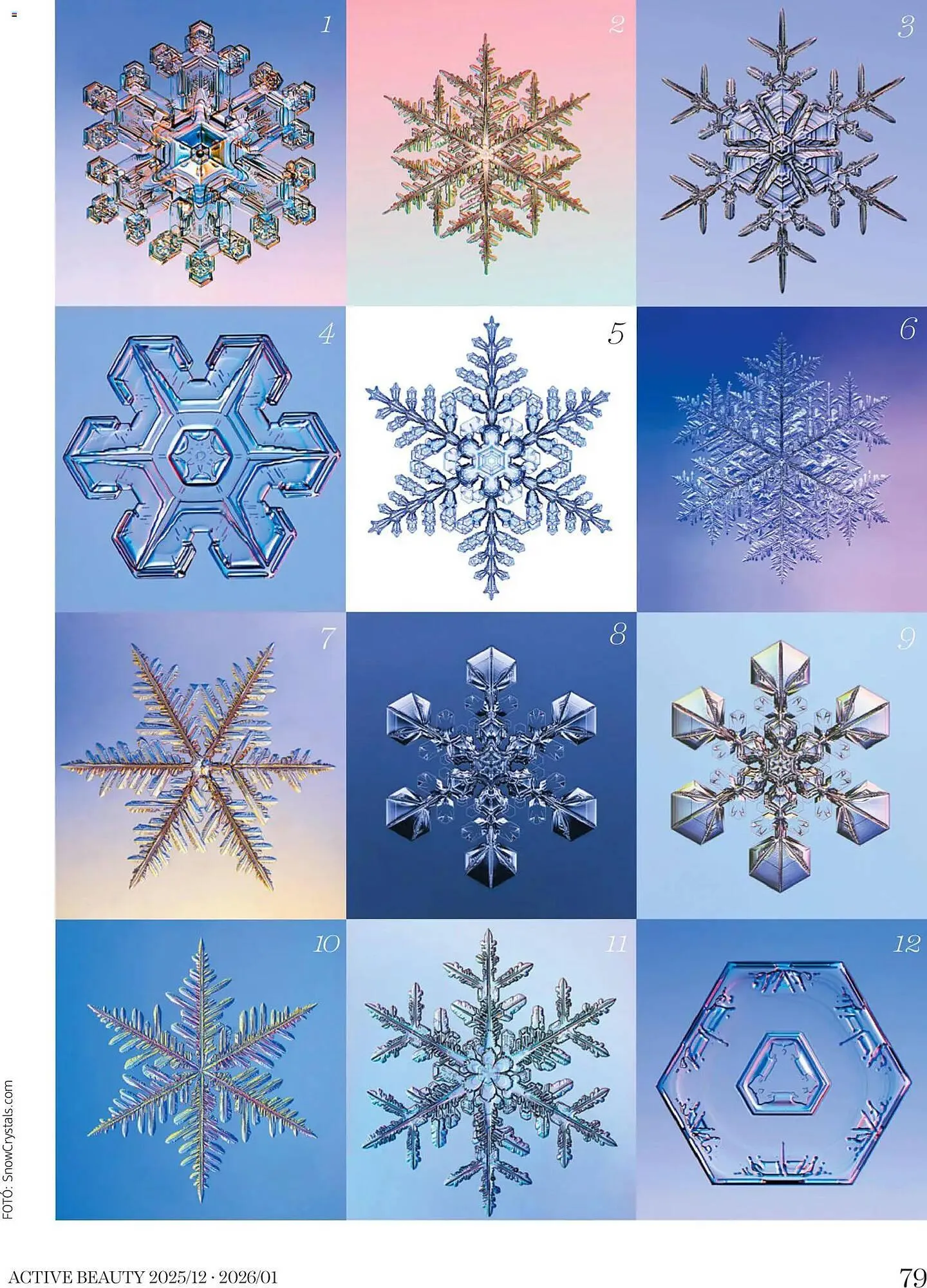 Katalógus DM akciós újság december 18.-tól január 31.-ig 2026. - Oldal 79