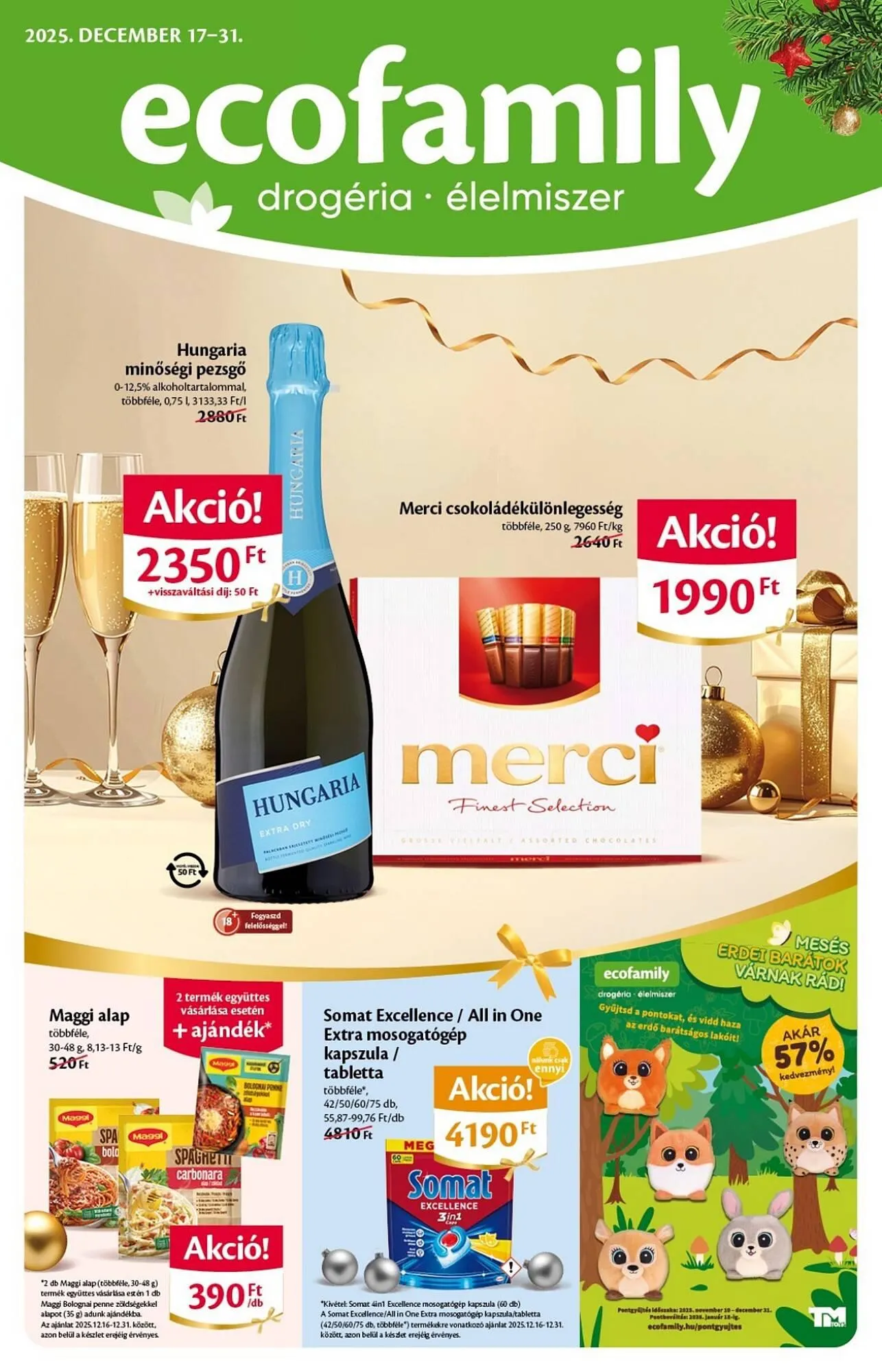 Katalógus EcoFamily akciós újság december 17.-tól december 31.-ig 2025. - Oldal 1