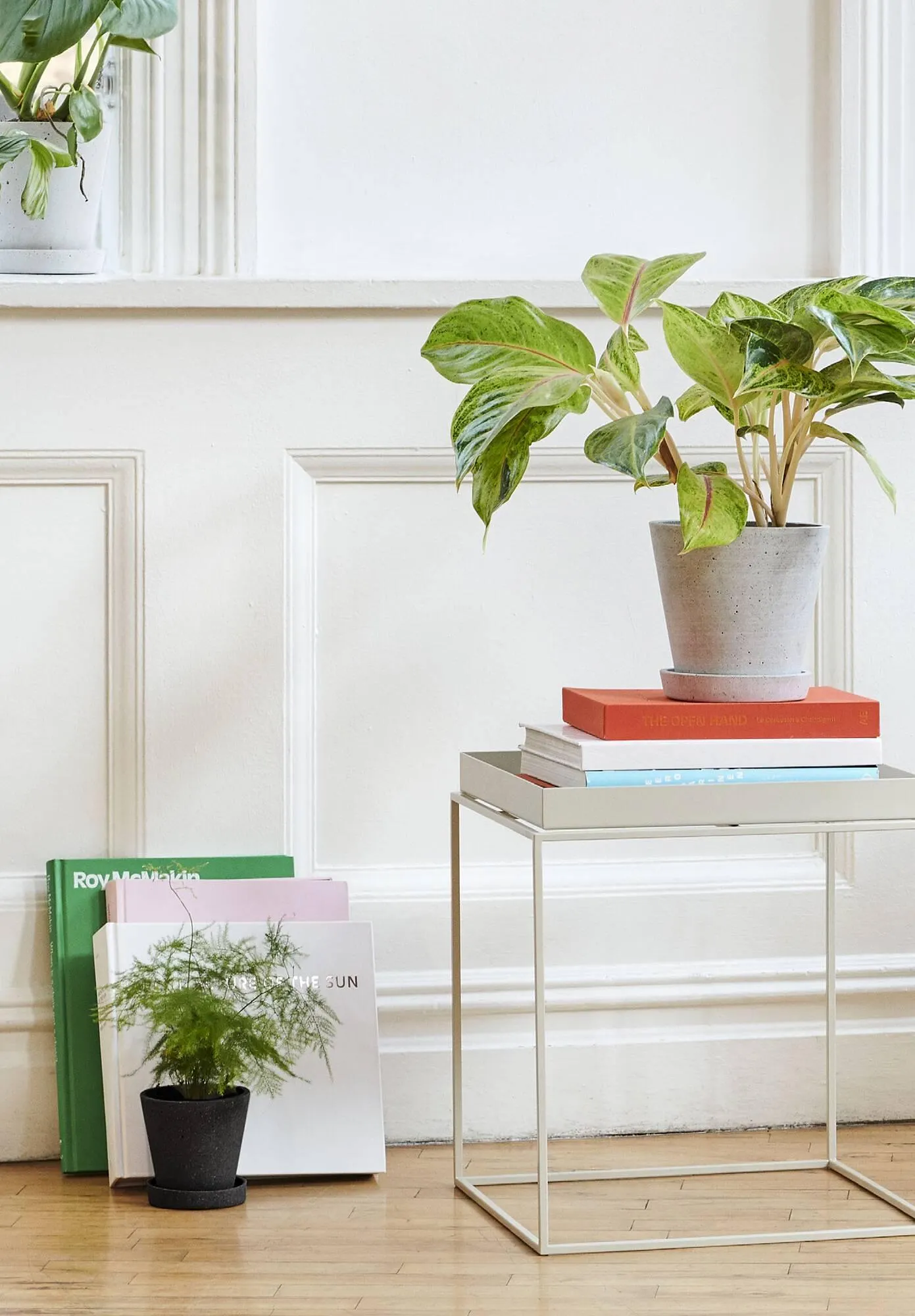 Katalógus HAY HAY Brand Book akciós újság január 19.-tól december 31.-ig 2024. - Oldal 64