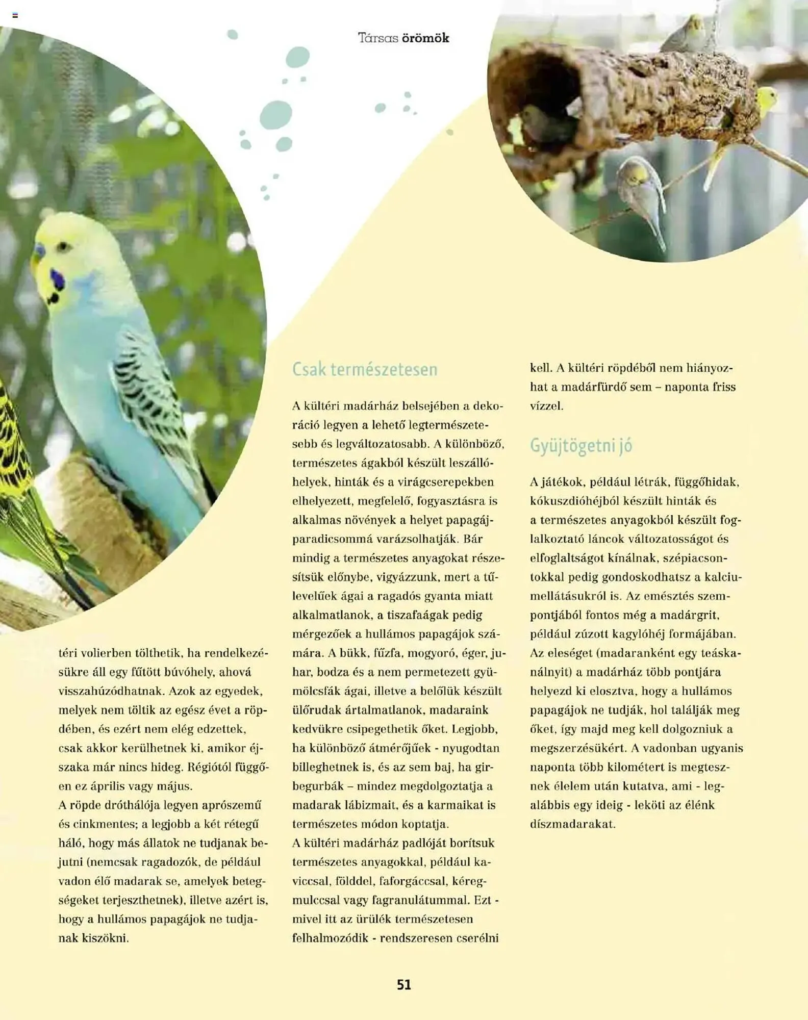 Katalógus Fressnapf akciós újság május 5.-tól május 13.-ig 2025. - Oldal 51