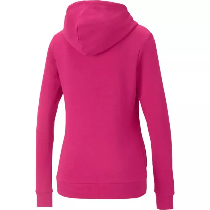 Essentials logo Hoodie