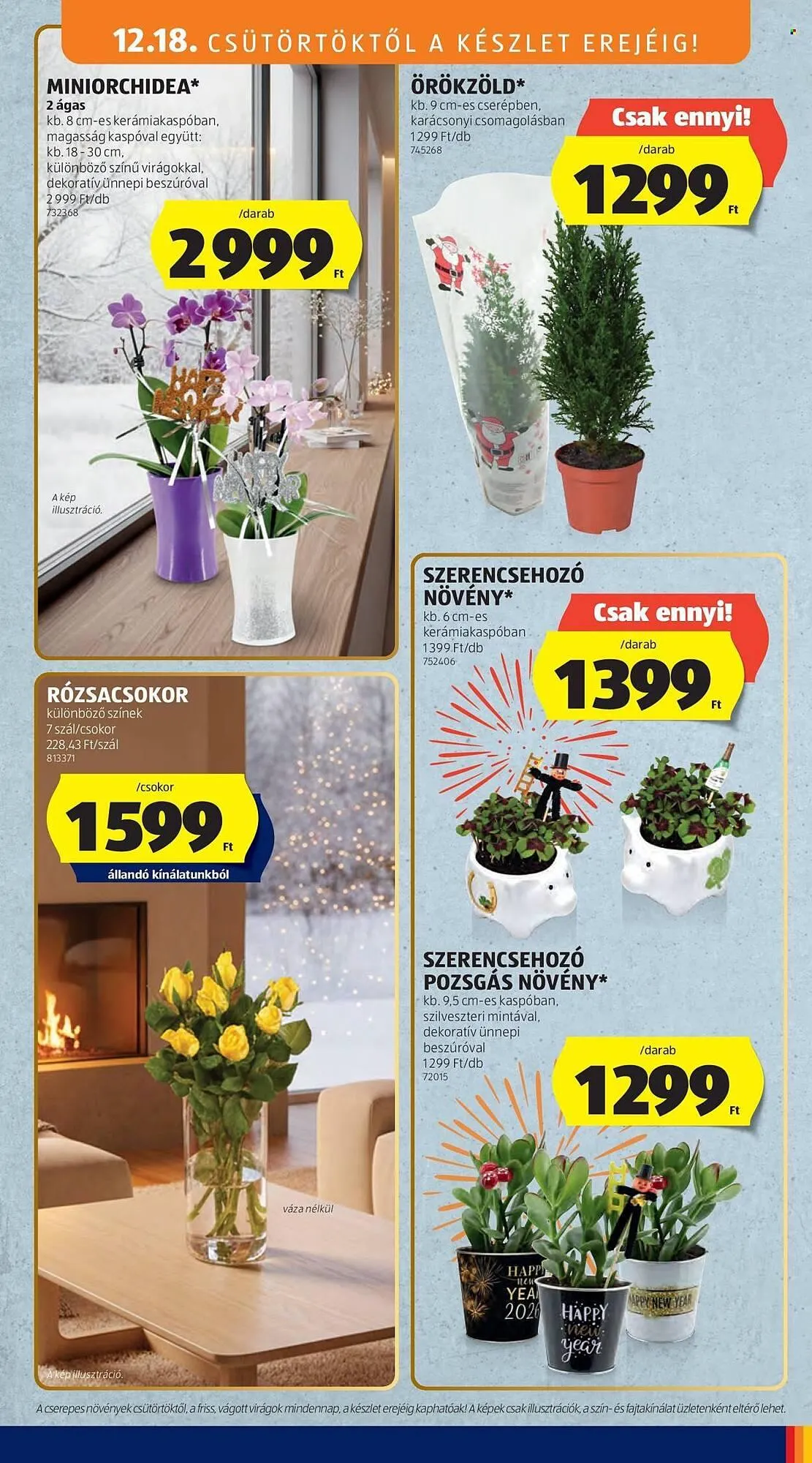 Katalógus ALDI akciós újság december 18.-tól december 24.-ig 2025. - Oldal 35