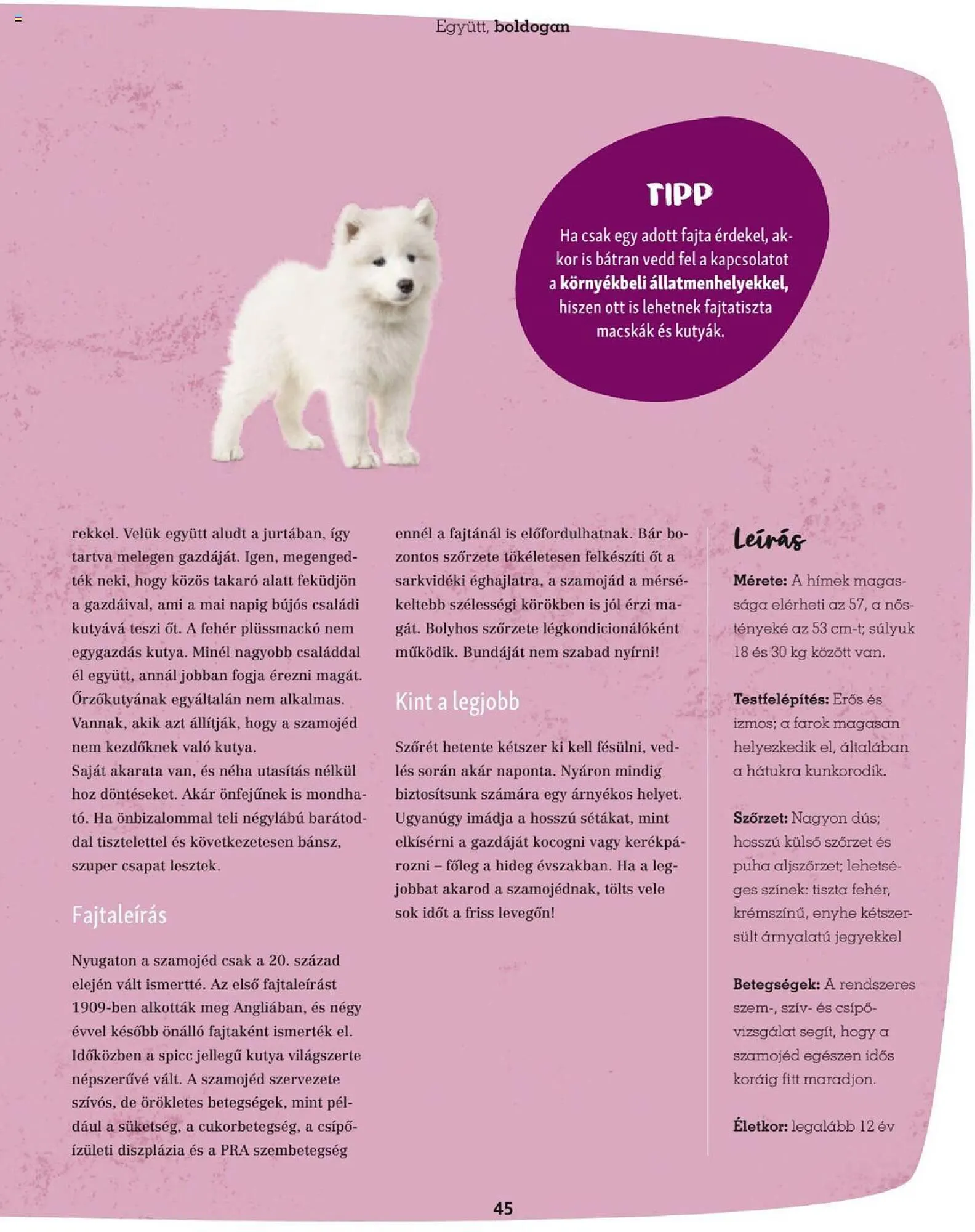 Katalógus Fressnapf akciós újság szeptember 25.-tól november 30.-ig 2023. - Oldal 45