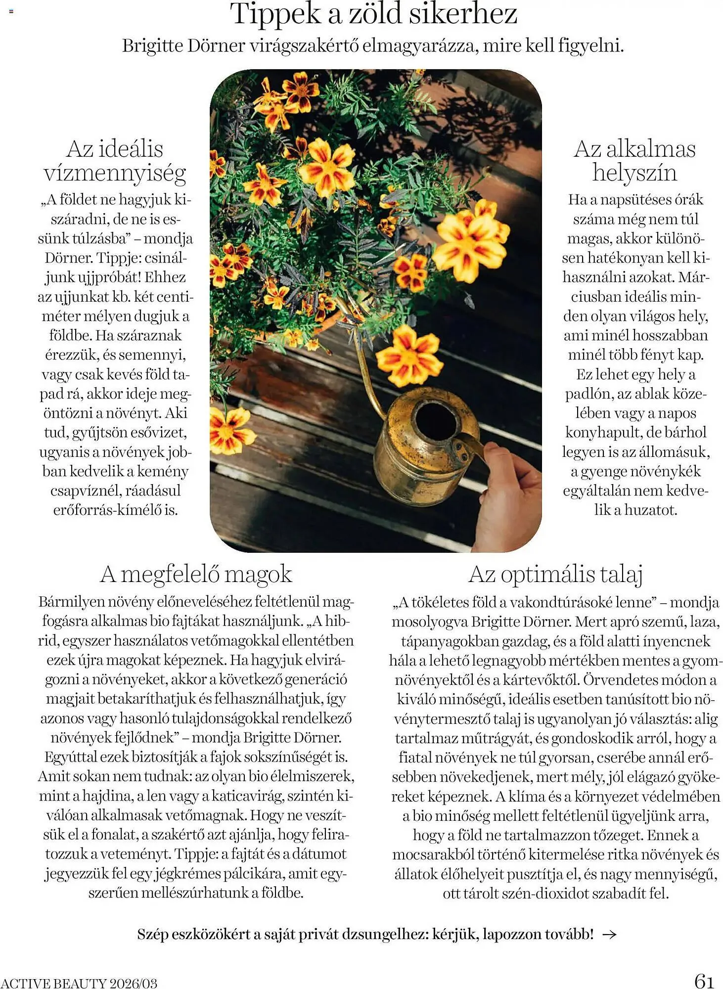 Katalógus DM akciós újság március 26.-tól április 30.-ig 2026. - Oldal 61