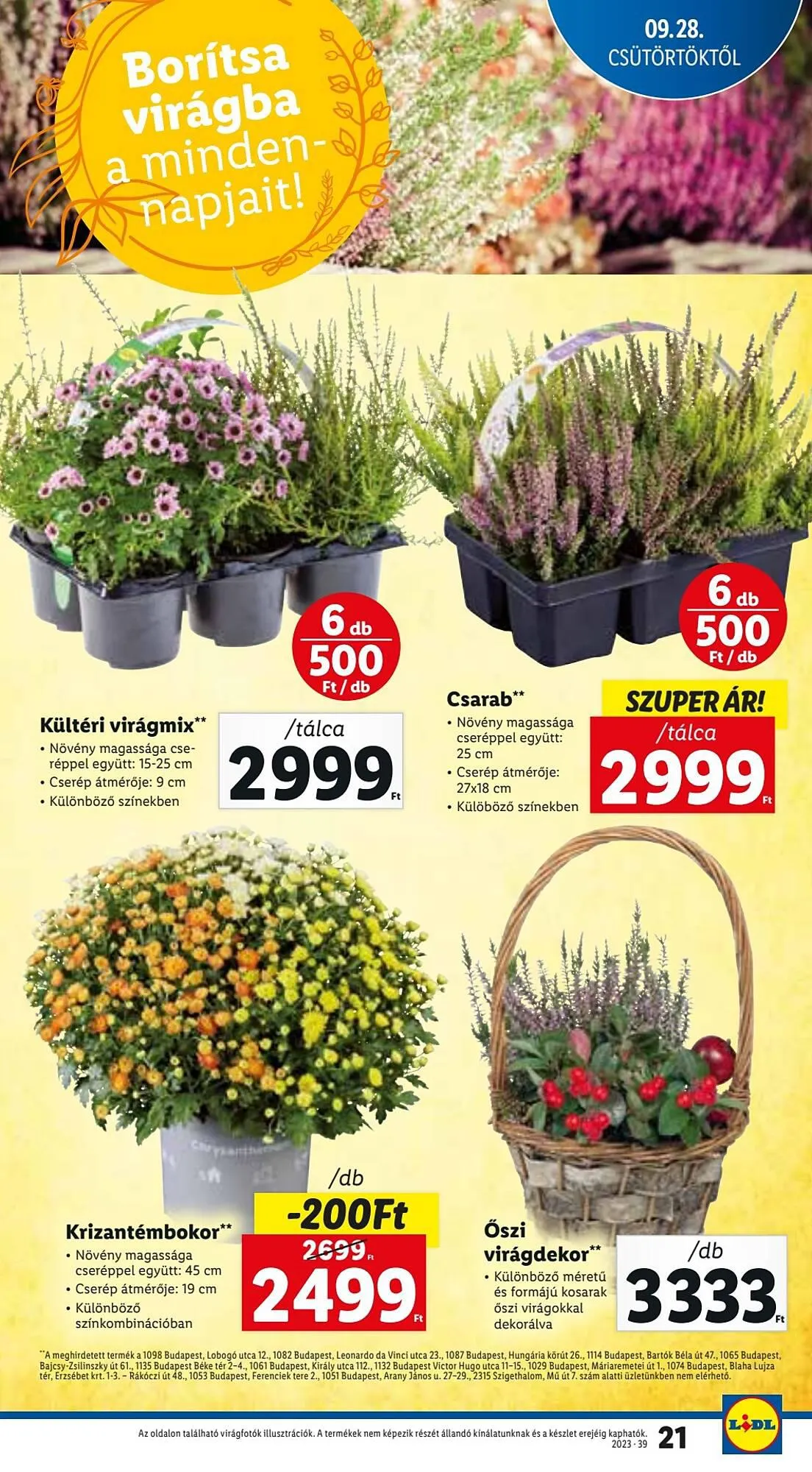 Katalógus Lidl akciós újság szeptember 28.-tól október 4.-ig 2023. - Oldal 21