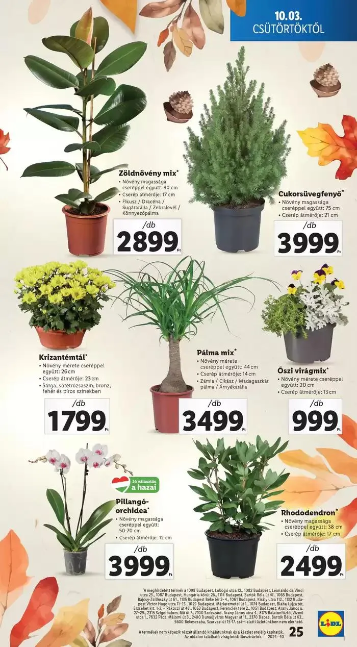 Katalógus Akciós újság – 40. hét október 3.-tól október 9.-ig 2024. - Oldal 25