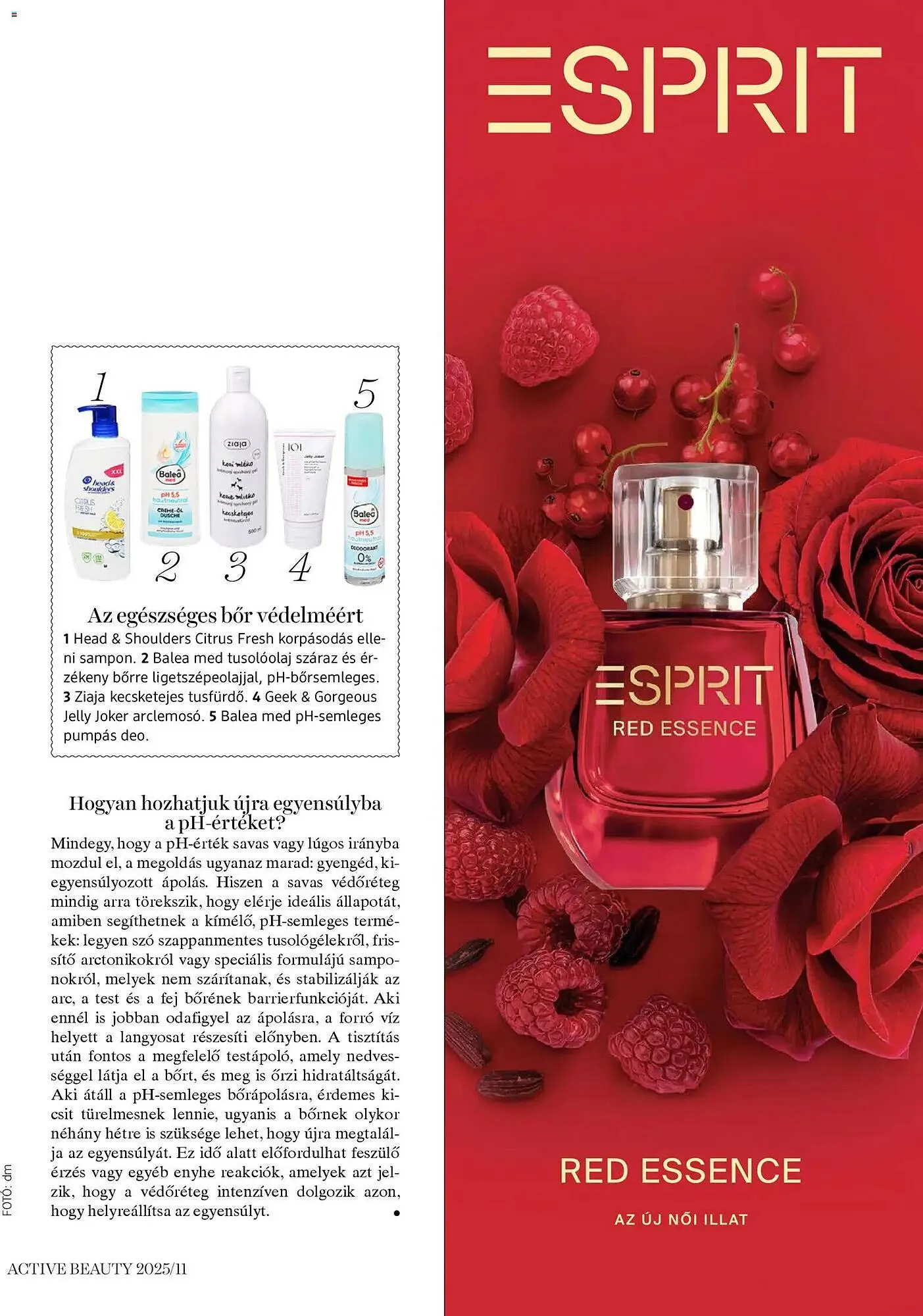 Katalógus DM akciós újság november 13.-tól november 30.-ig 2025. - Oldal 33