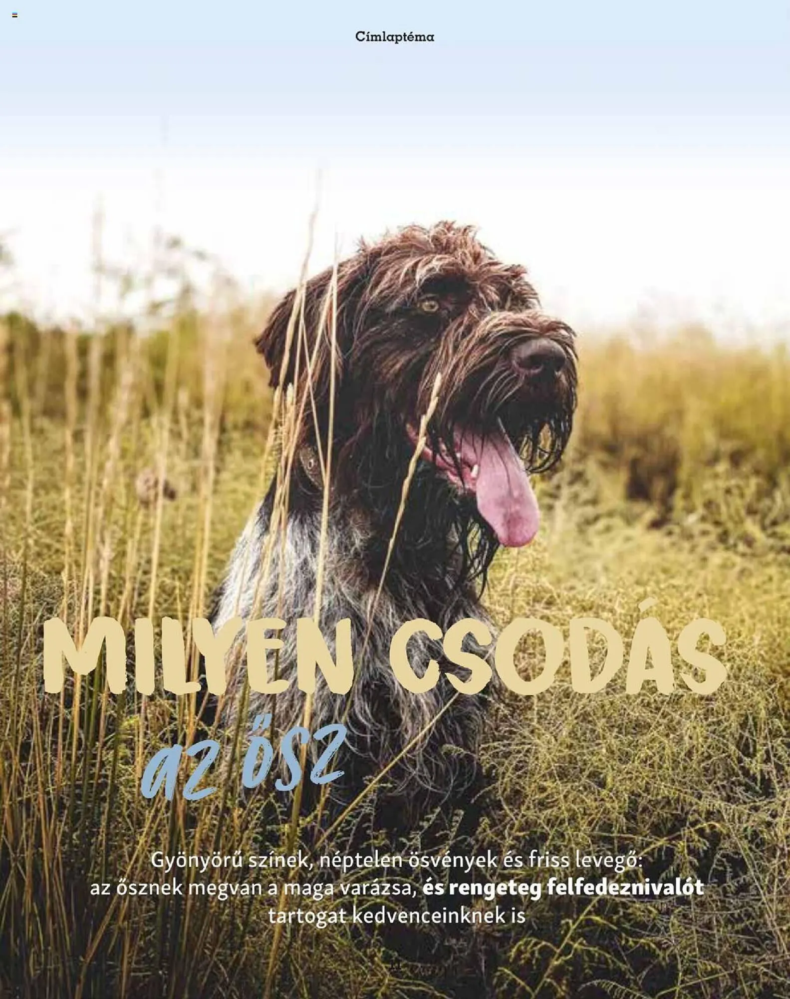 Katalógus Fressnapf akciós újság szeptember 25.-tól november 30.-ig 2023. - Oldal 11