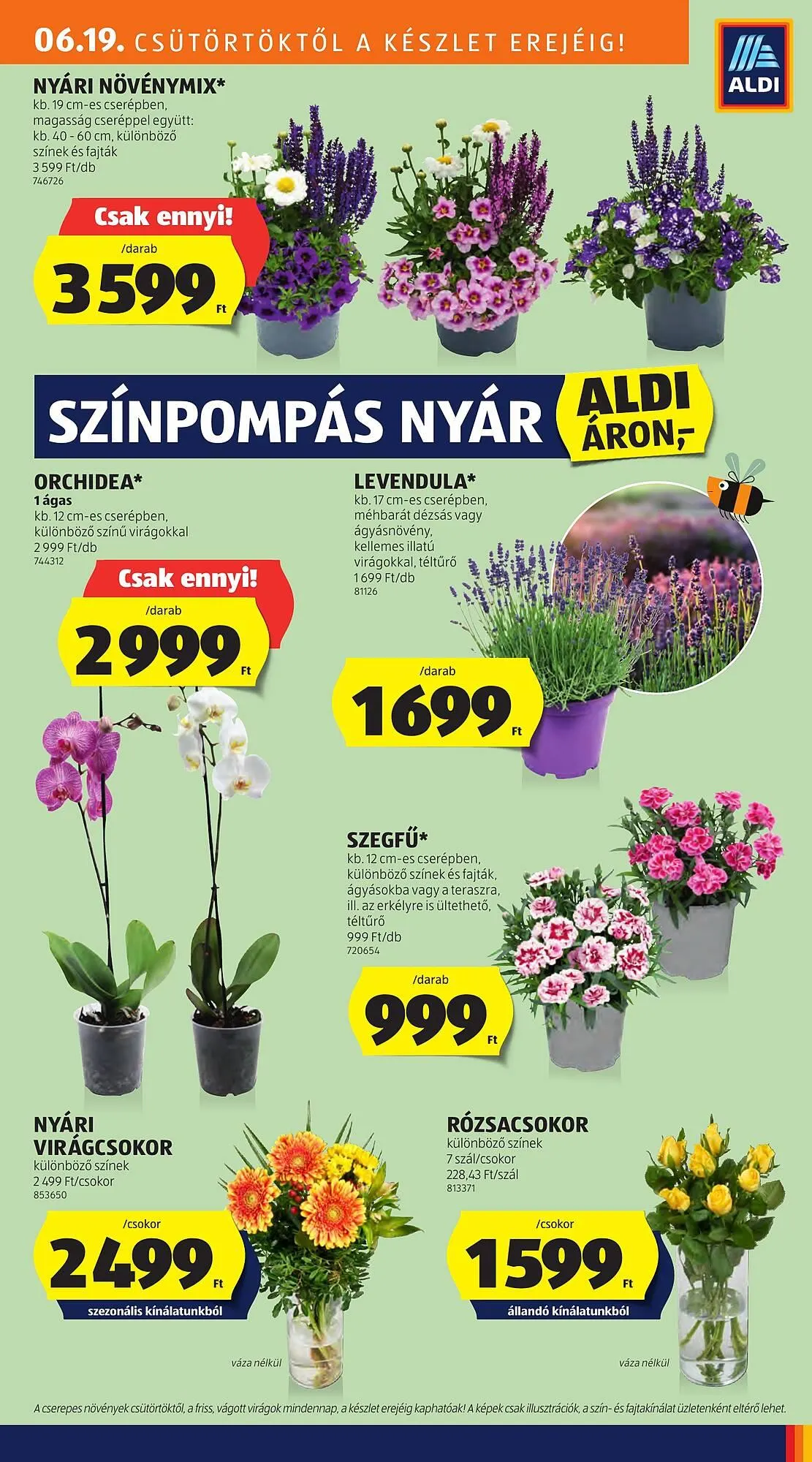 Katalógus ALDI akciós újság június 19.-tól június 30.-ig 2025. - Oldal 9