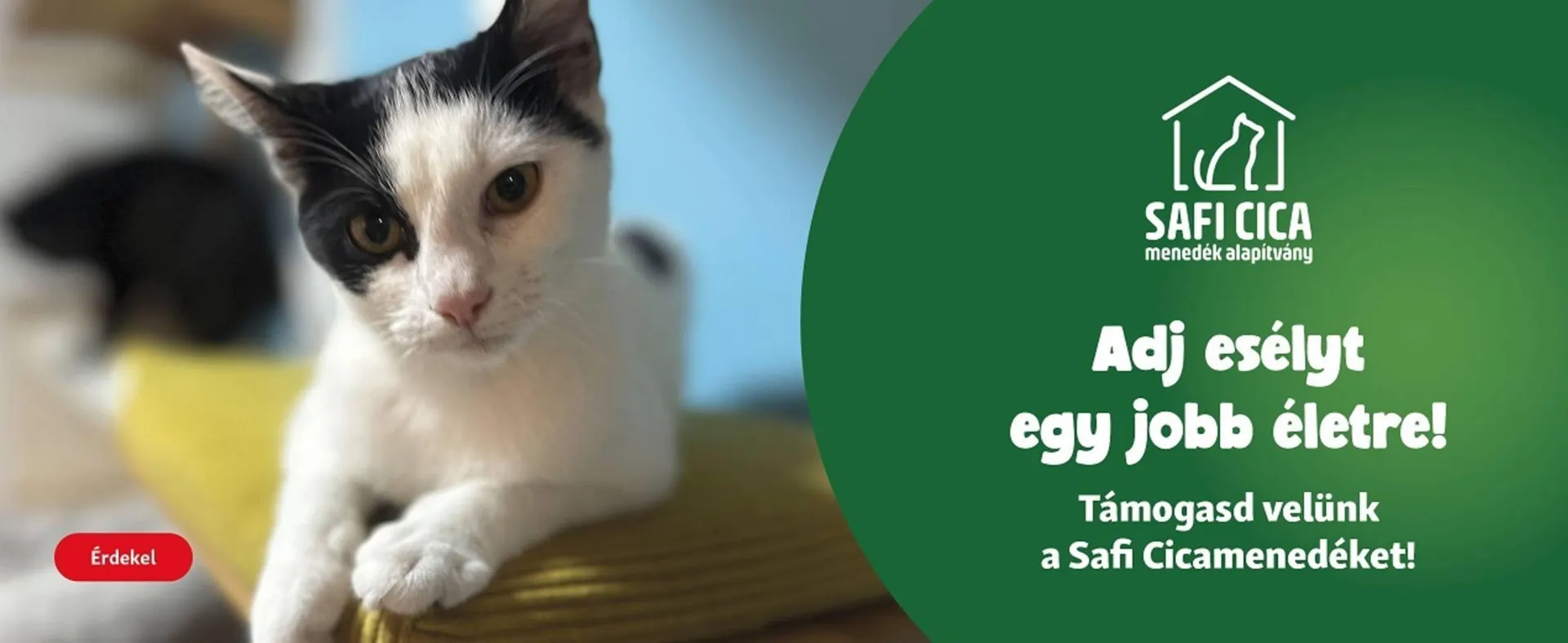 Katalógus Fressnapf akciós újság december 26.-tól január 1.-ig 2026. - Oldal 5